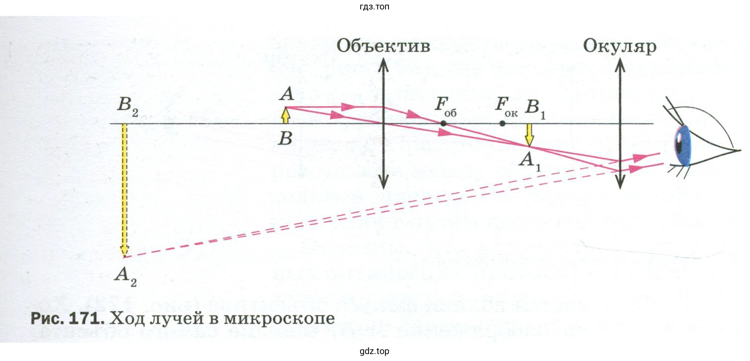 Как устроен микроскоп?