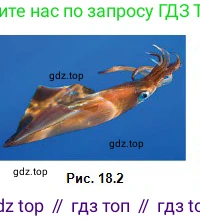 Физика, 10 класс Учебник, авторы: Кронгарт Борис Аркадьевич, Казахбаева Данагуль Мукажановна, Имамбеков Онласын, Кыстаубаев Талгат Зайнулланович, издательство Мектеп, Алматы, 2019, белого цвета, Часть 1, страница 116, номер 4, Условие (продолжение 2)