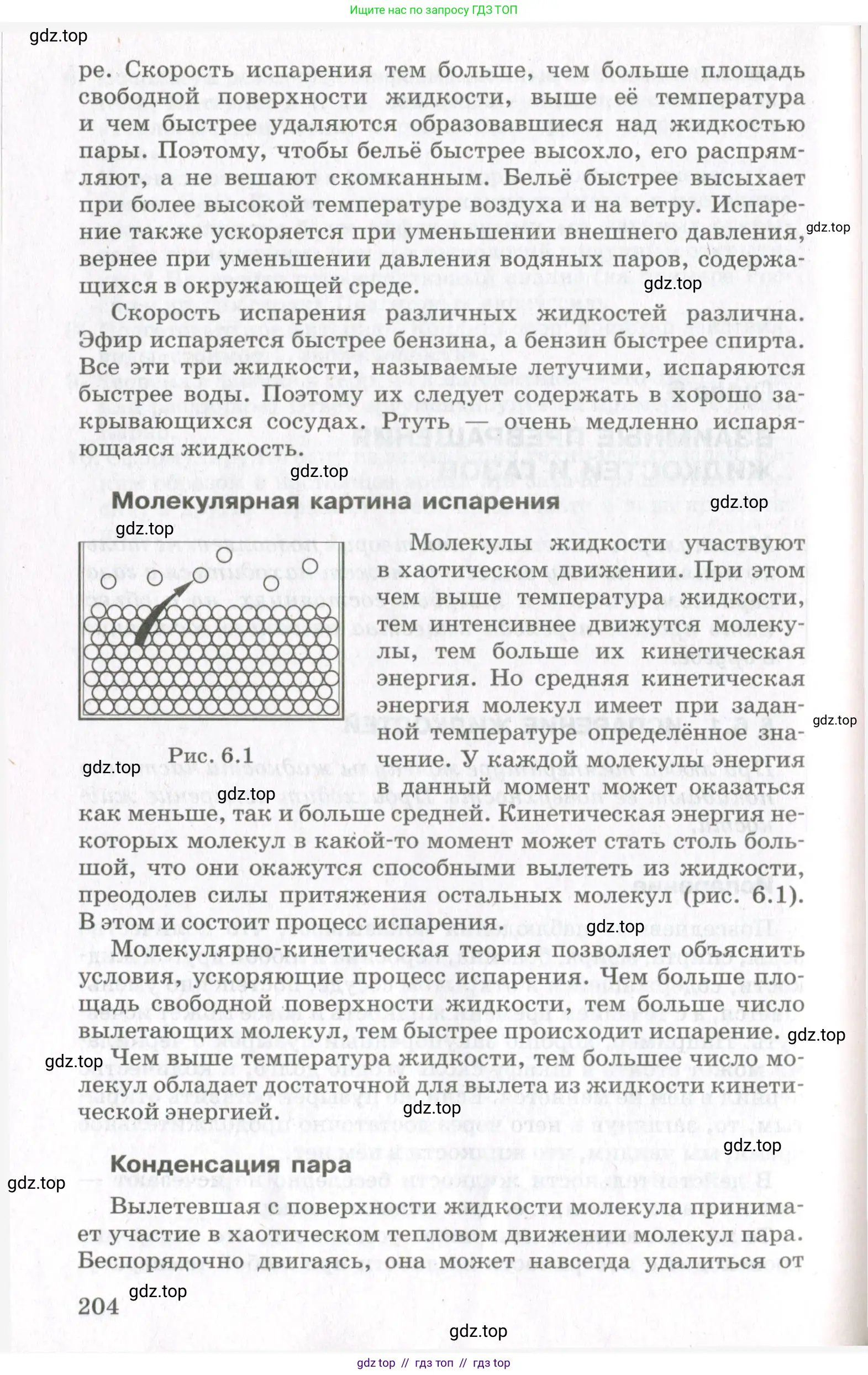 Физика, 10 класс Учебник, авторы: Мякишев Генадий Яковлевич, Синяков Арон Залманович, издательство Просвещение, Москва, 2021, зелёного цвета, страница 204