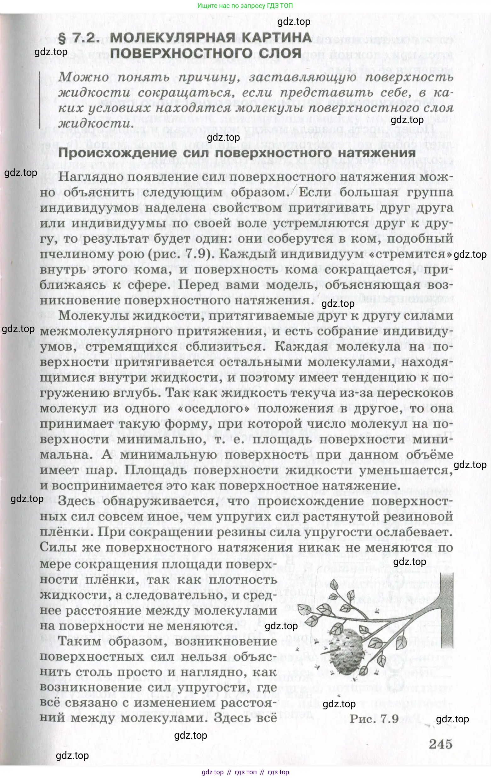Физика, 10 класс Учебник, авторы: Мякишев Генадий Яковлевич, Синяков Арон Залманович, издательство Просвещение, Москва, 2021, зелёного цвета, страница 245