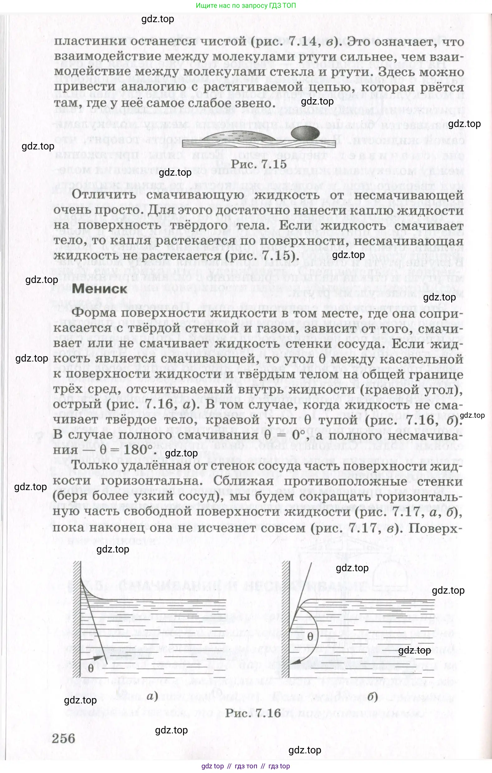 Физика, 10 класс Учебник, авторы: Мякишев Генадий Яковлевич, Синяков Арон Залманович, издательство Просвещение, Москва, 2021, зелёного цвета, страница 256