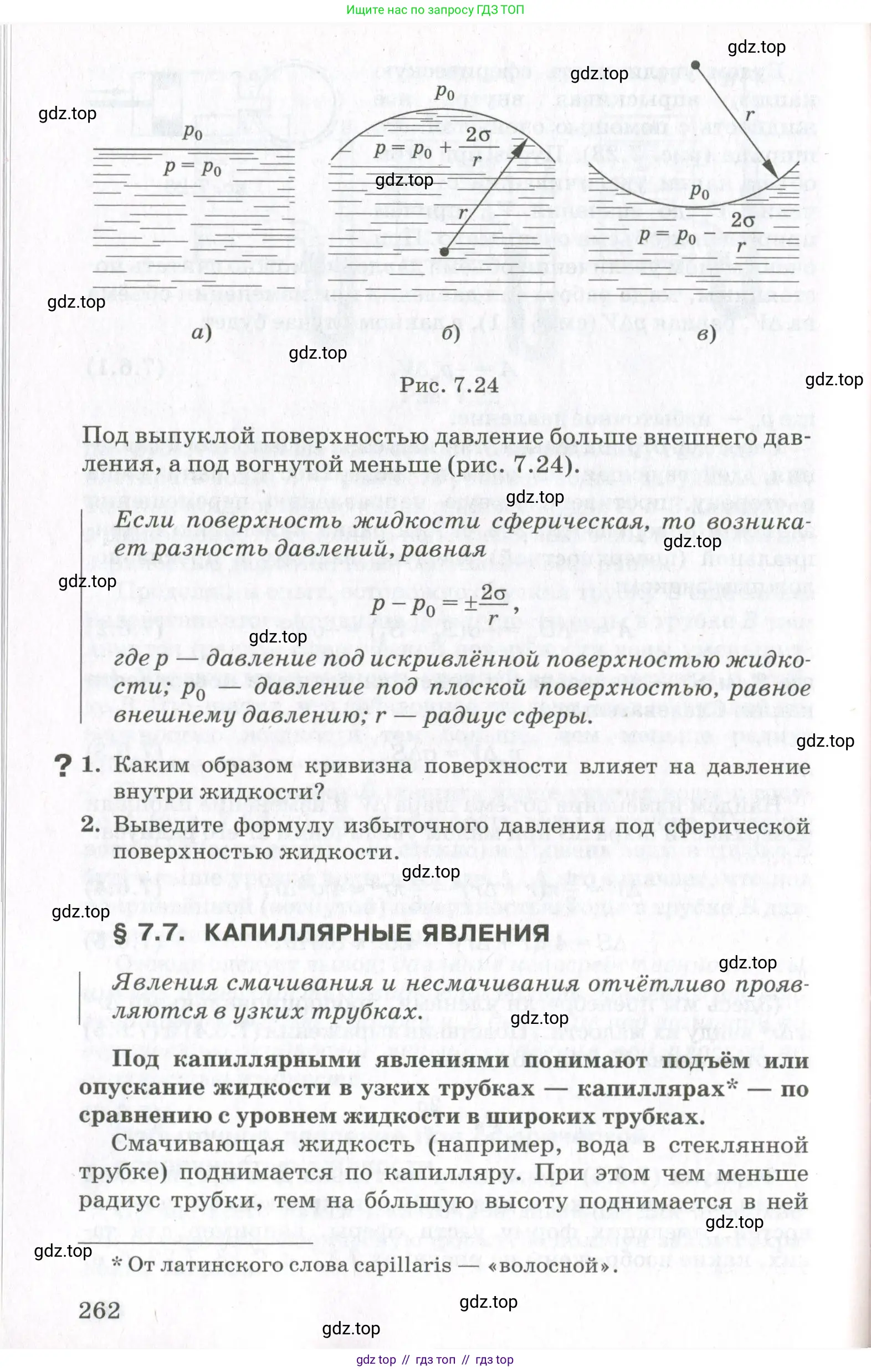 Физика, 10 класс Учебник, авторы: Мякишев Генадий Яковлевич, Синяков Арон Залманович, издательство Просвещение, Москва, 2021, зелёного цвета, страница 262