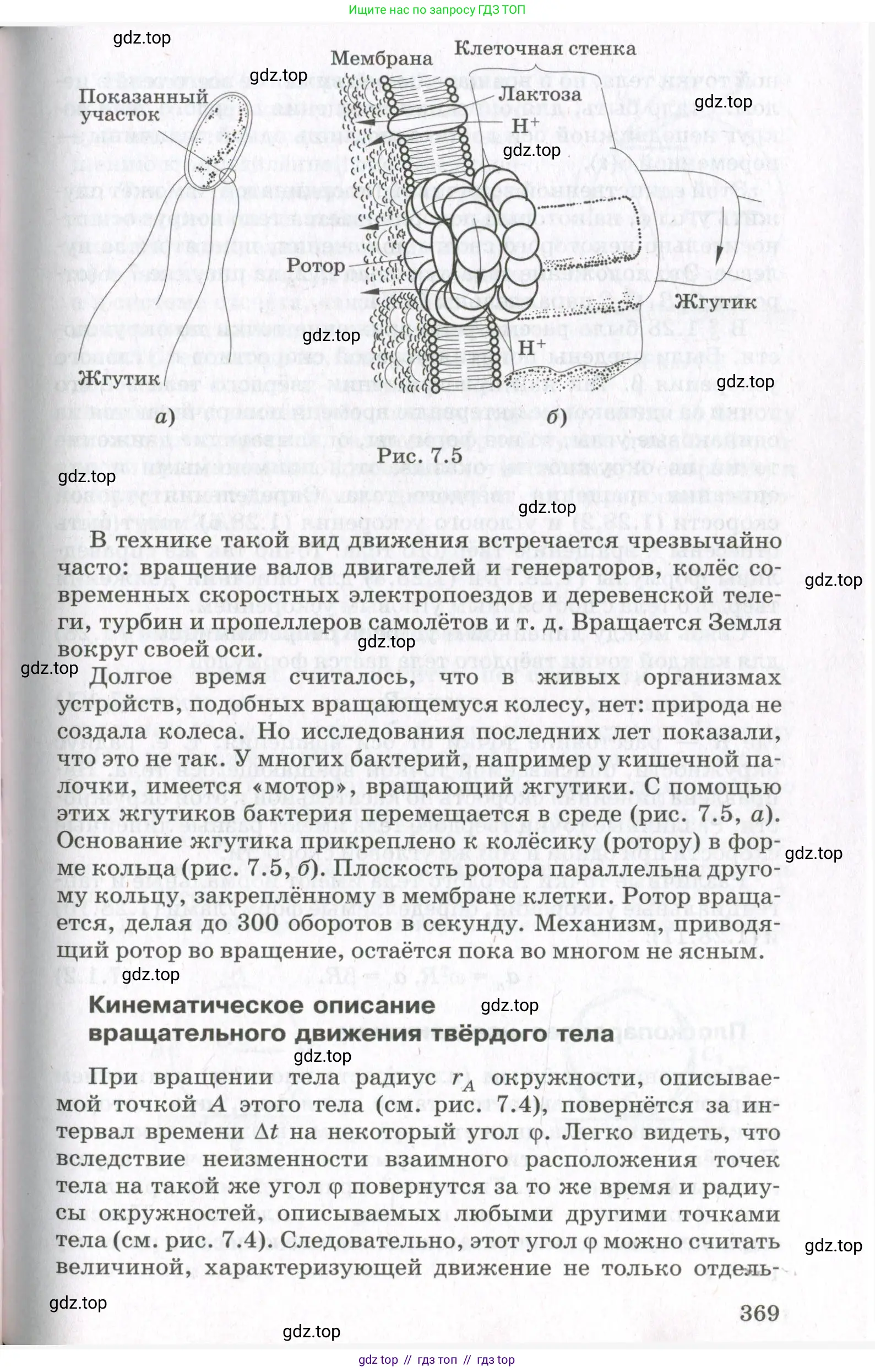 Физика, 10 класс Учебник, авторы: Мякишев Генадий Яковлевич, Синяков Арон Залманович, издательство Просвещение, Москва, 2021, белого цвета, страница 369