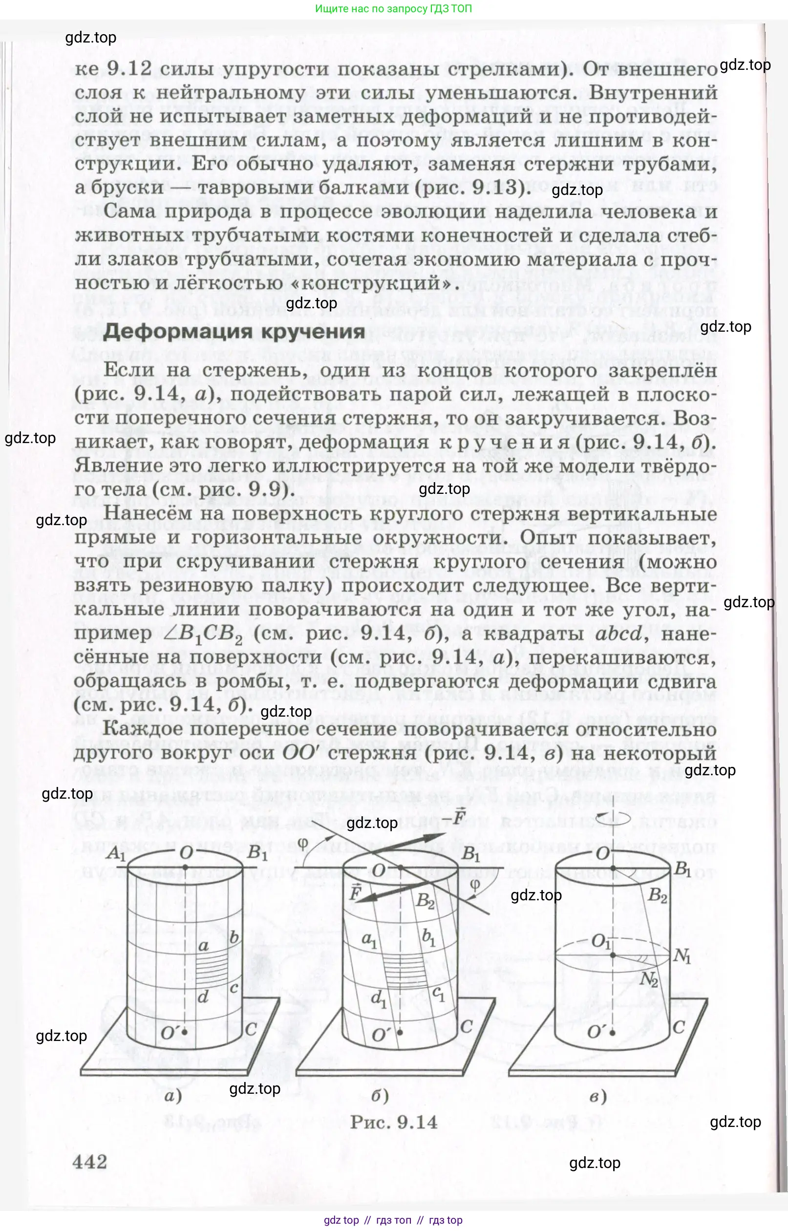 Физика, 10 класс Учебник, авторы: Мякишев Генадий Яковлевич, Синяков Арон Залманович, издательство Просвещение, Москва, 2021, белого цвета, страница 442