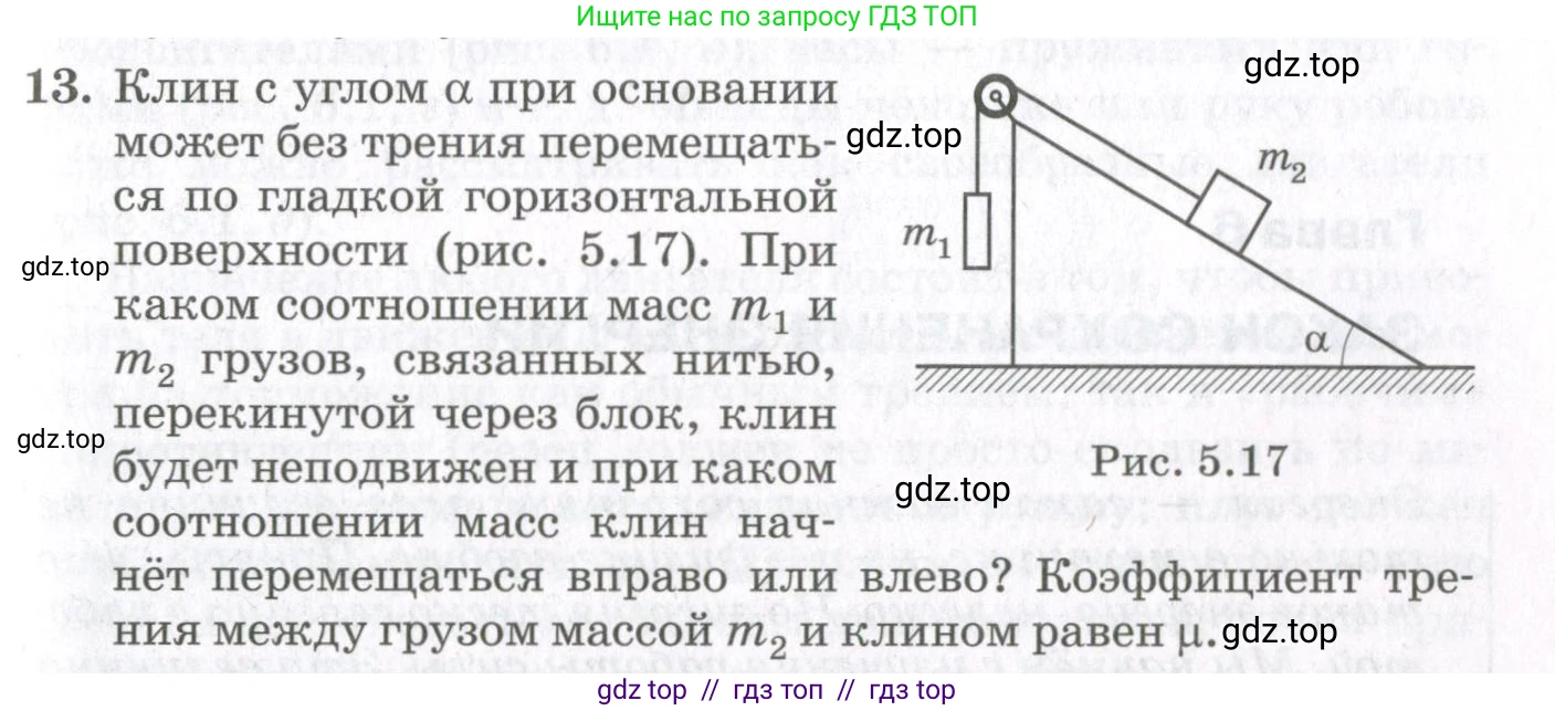 Физика, 10 класс Учебник, авторы: Мякишев Генадий Яковлевич, Синяков Арон Залманович, издательство Просвещение, Москва, 2021, белого цвета, страница 315, номер 13, Условие