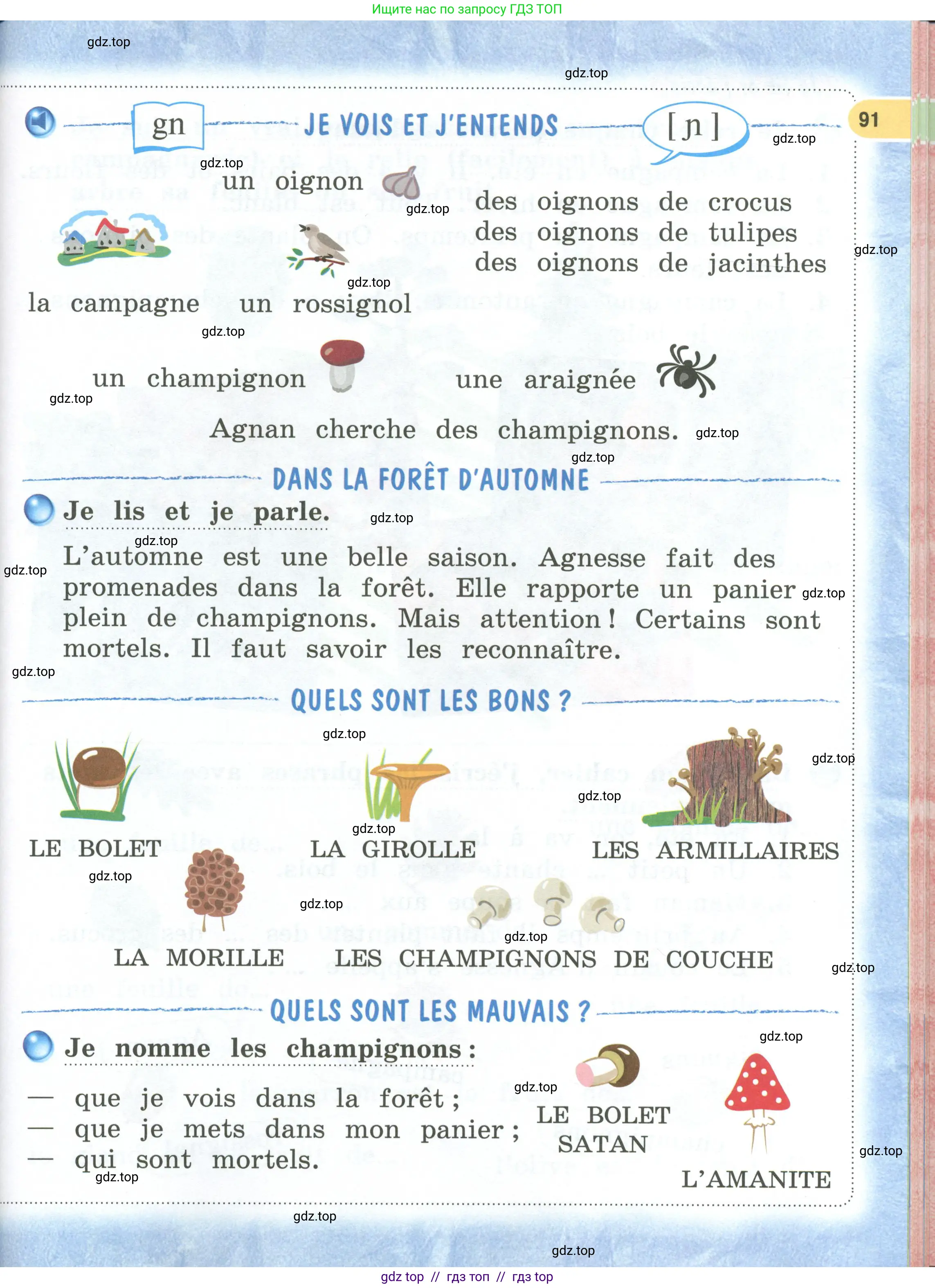 Французский язык, 2 класс Учебник, авторы: Кулигина Антонина Степановна (Kouliguina A), Кирьянова Мария Георгиевна (Kirianova M), издательство Просвещение, Москва, 2023, страница 91