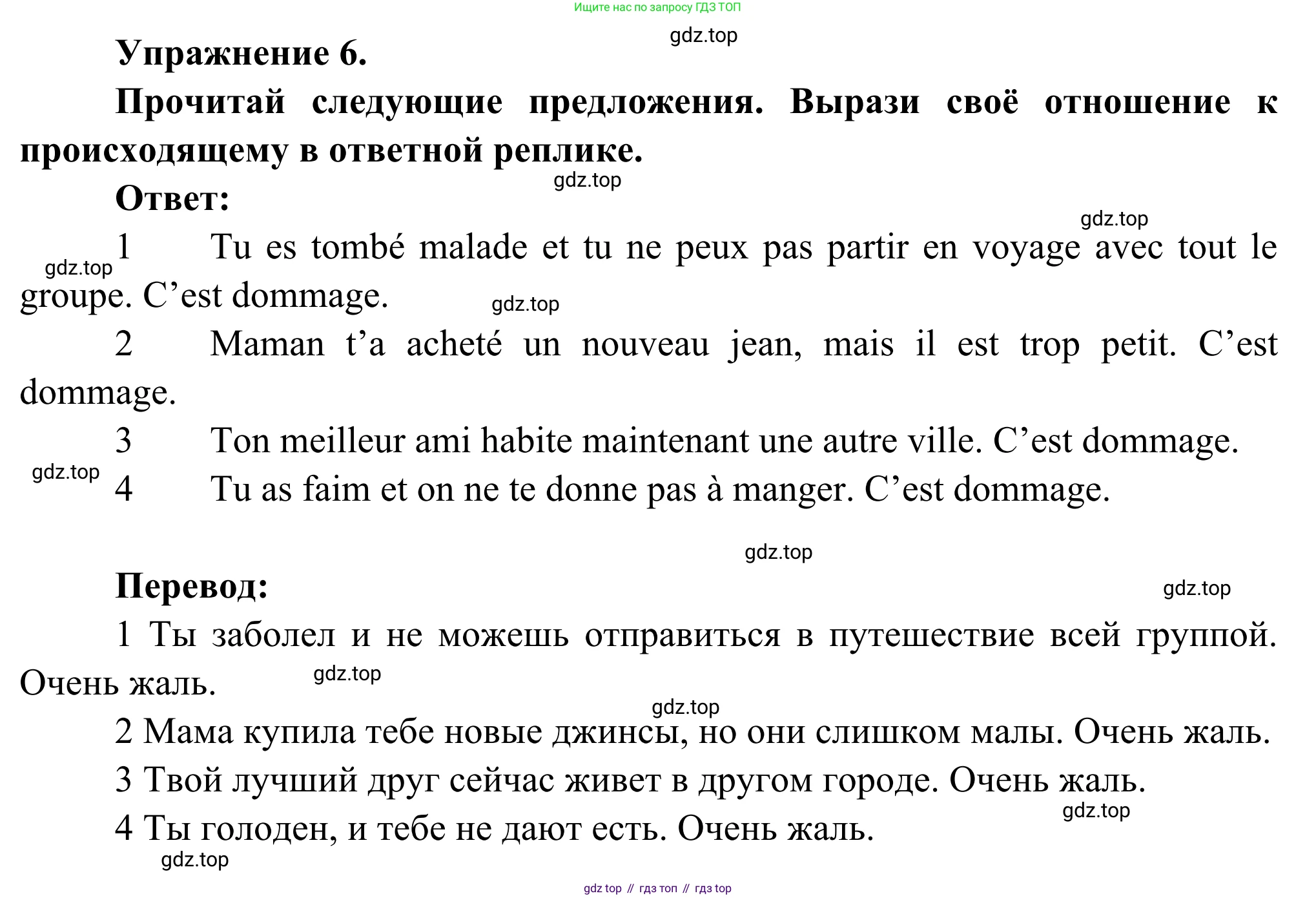 ГДЗ Французский язык, 6 класс Учебник, авторы: Селиванова Наталья Алексеевна (Sélivanova N), Шашурина Алла Юрьевна (Chachourina A), издательство Просвещение, Москва, 2023, коричневого цвета, Часть 1, страница 61, номер 6, Решение