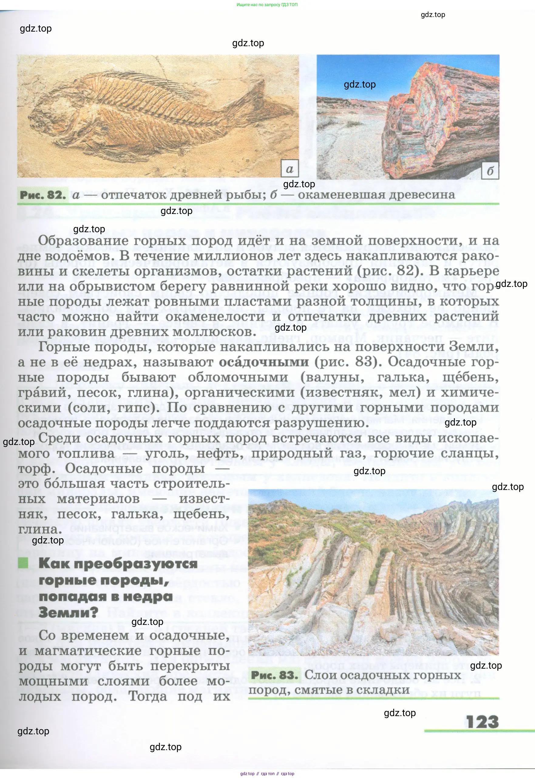 География, 5-6 класс Учебник, авторы: Климанова Оксана Александровна, Климанов Владимир Викторович, Ким Эльвира Васильевна, Сиротин Владимир Иванович, Румянцев Александр Владимирович, Панасенкова Ольга Алексеевна, издательство Просвещение, Москва, 2023, белого цвета, страница 123