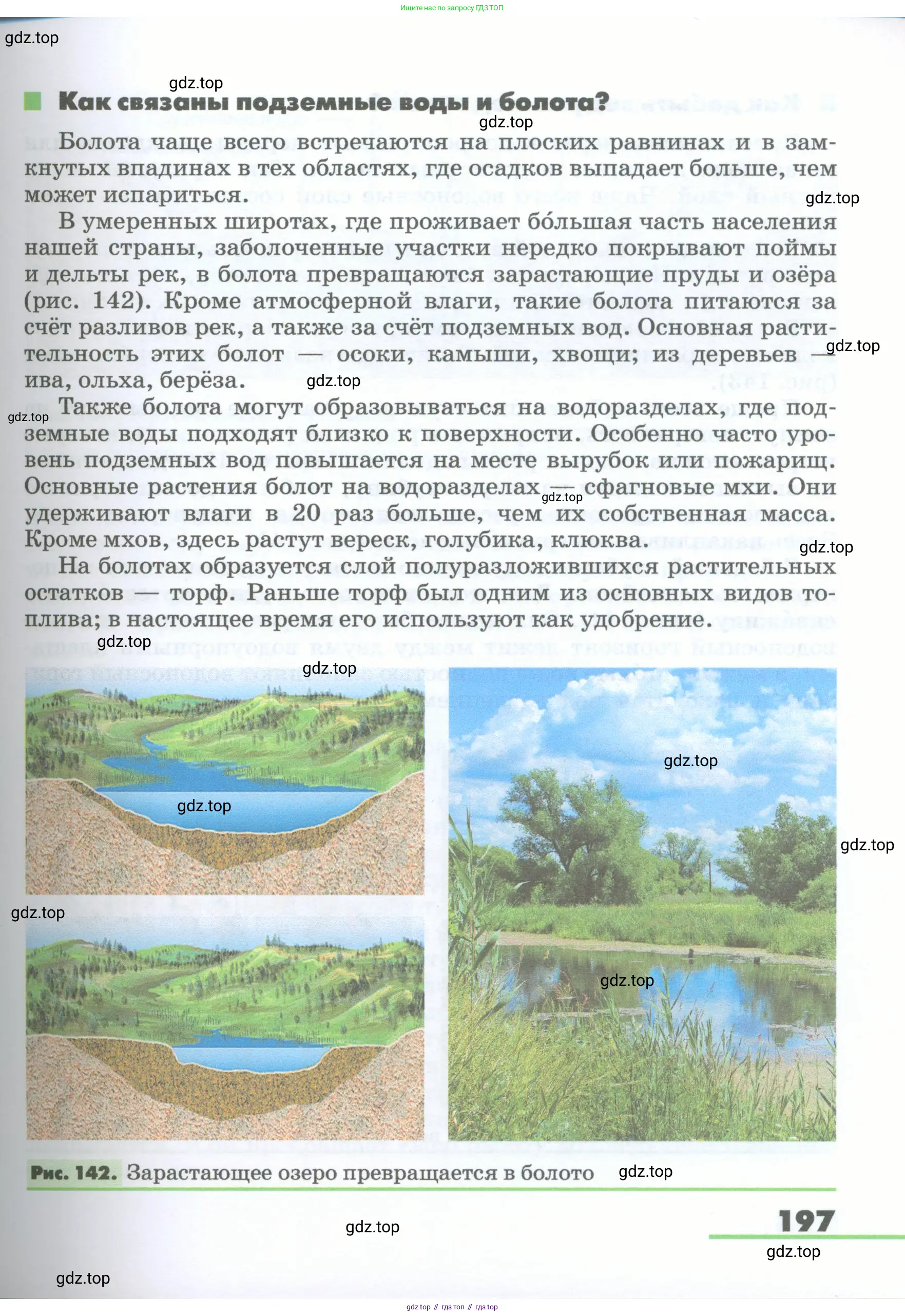 География, 5-6 класс Учебник, авторы: Климанова Оксана Александровна, Климанов Владимир Викторович, Ким Эльвира Васильевна, Сиротин Владимир Иванович, Румянцев Александр Владимирович, Панасенкова Ольга Алексеевна, издательство Просвещение, Москва, 2023, белого цвета, страница 197