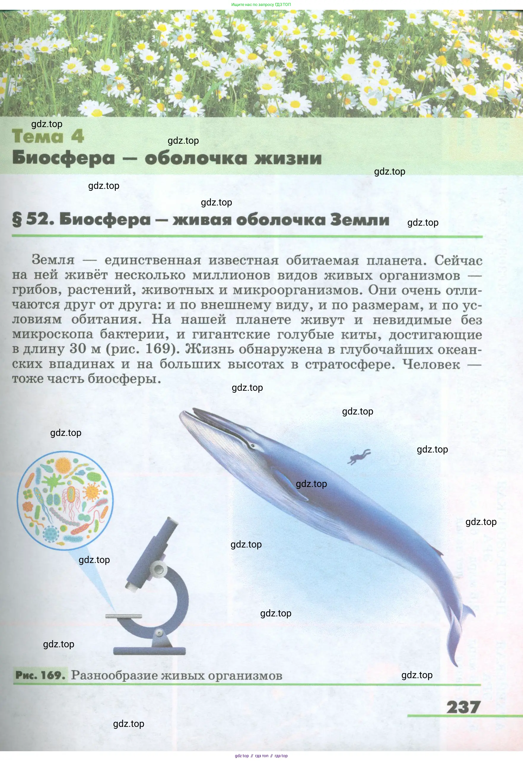 География, 5-6 класс Учебник, авторы: Климанова Оксана Александровна, Климанов Владимир Викторович, Ким Эльвира Васильевна, Сиротин Владимир Иванович, Румянцев Александр Владимирович, Панасенкова Ольга Алексеевна, издательство Просвещение, Москва, 2023, белого цвета, страница 237