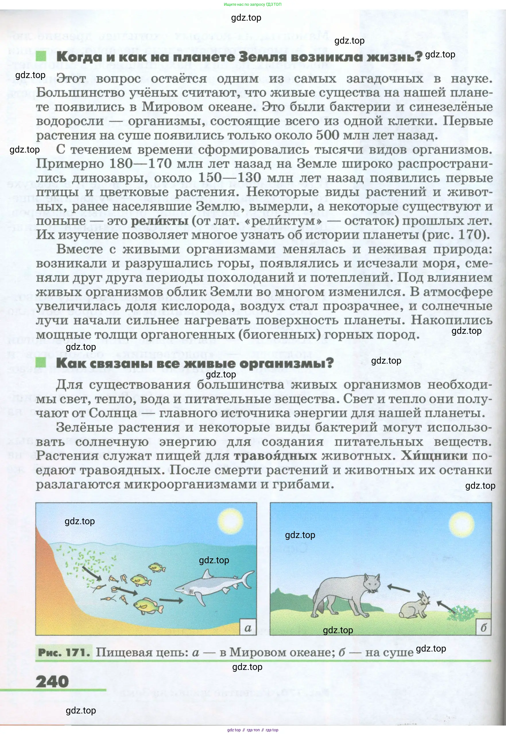 География, 5-6 класс Учебник, авторы: Климанова Оксана Александровна, Климанов Владимир Викторович, Ким Эльвира Васильевна, Сиротин Владимир Иванович, Румянцев Александр Владимирович, Панасенкова Ольга Алексеевна, издательство Просвещение, Москва, 2023, белого цвета, страница 240