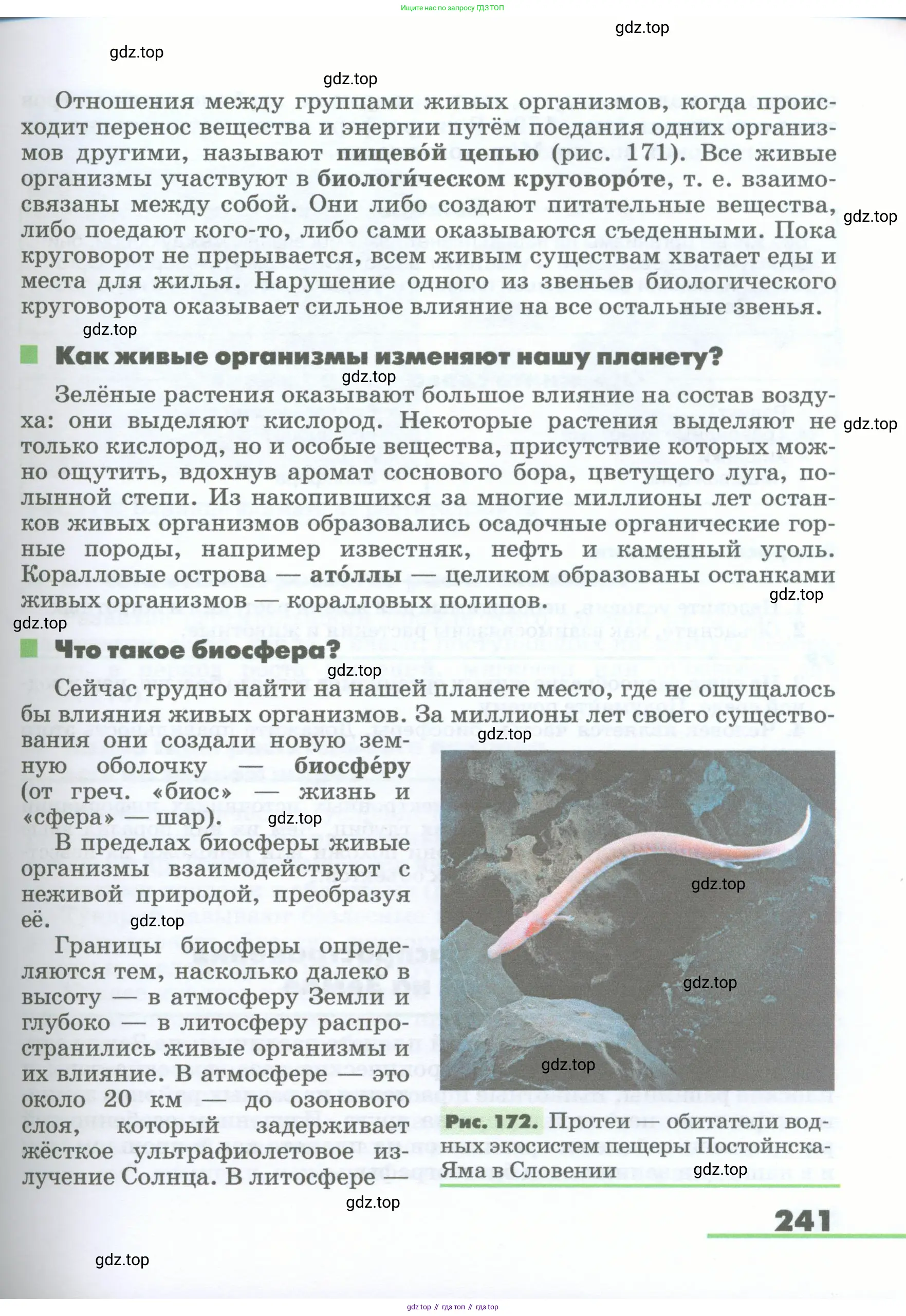 География, 5-6 класс Учебник, авторы: Климанова Оксана Александровна, Климанов Владимир Викторович, Ким Эльвира Васильевна, Сиротин Владимир Иванович, Румянцев Александр Владимирович, Панасенкова Ольга Алексеевна, издательство Просвещение, Москва, 2023, белого цвета, страница 241