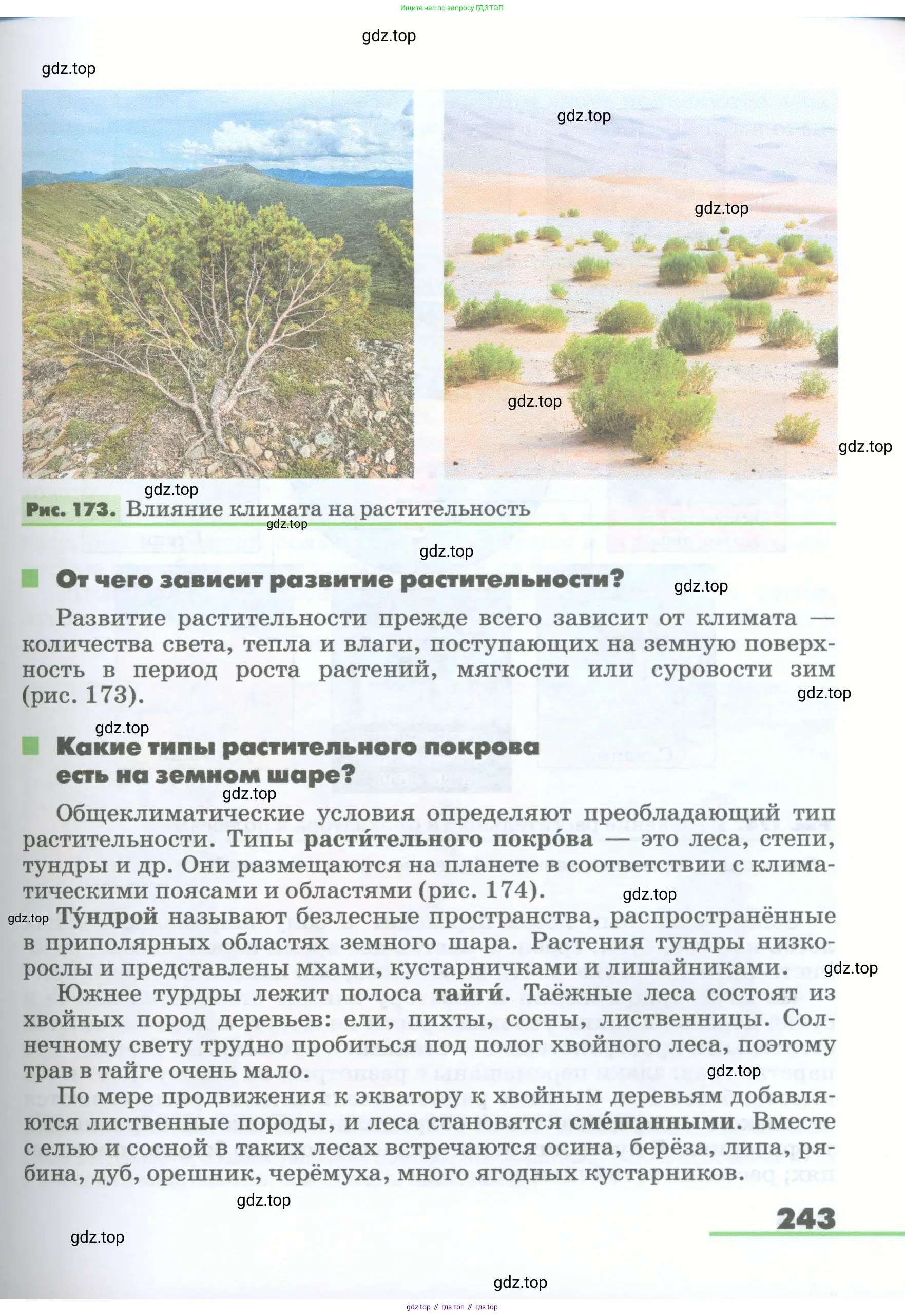 География, 5-6 класс Учебник, авторы: Климанова Оксана Александровна, Климанов Владимир Викторович, Ким Эльвира Васильевна, Сиротин Владимир Иванович, Румянцев Александр Владимирович, Панасенкова Ольга Алексеевна, издательство Просвещение, Москва, 2023, белого цвета, страница 243