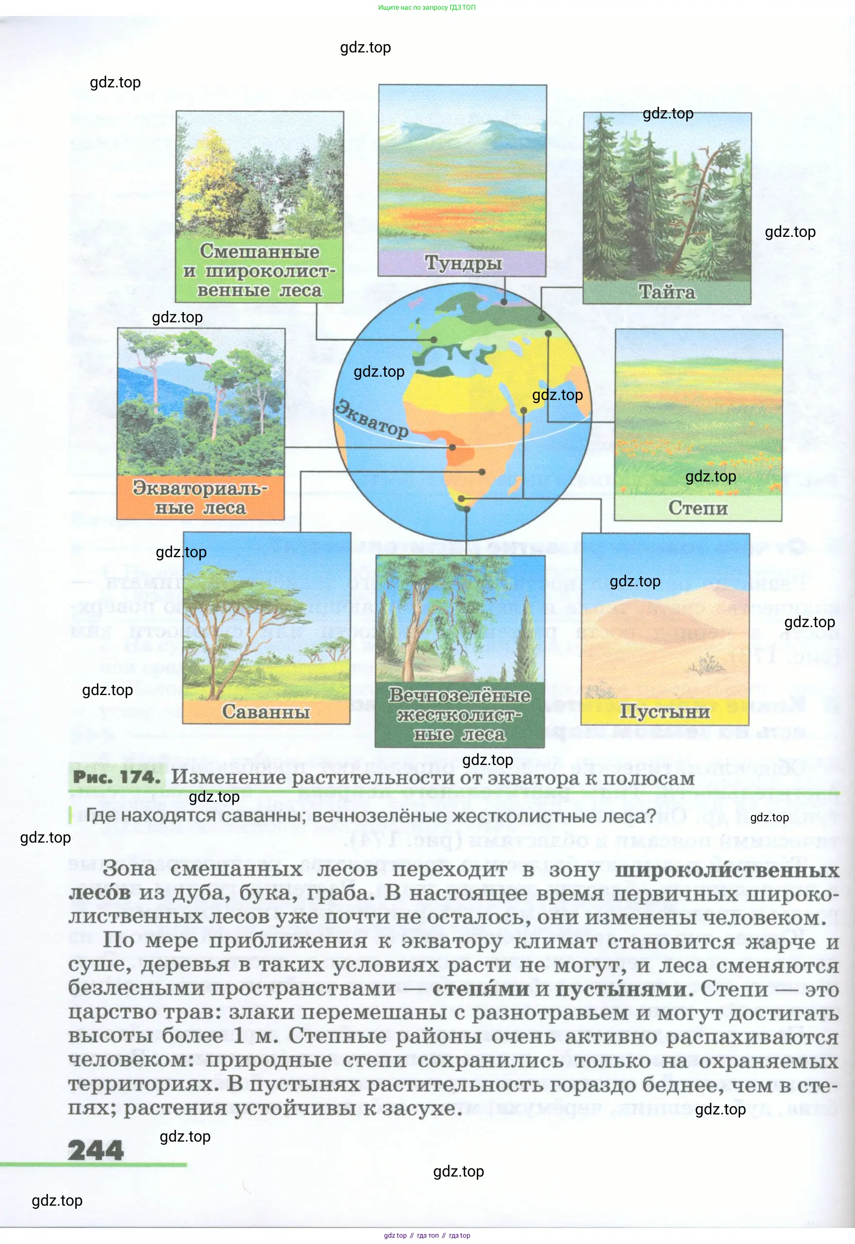 География, 5-6 класс Учебник, авторы: Климанова Оксана Александровна, Климанов Владимир Викторович, Ким Эльвира Васильевна, Сиротин Владимир Иванович, Румянцев Александр Владимирович, Панасенкова Ольга Алексеевна, издательство Просвещение, Москва, 2023, белого цвета, страница 244