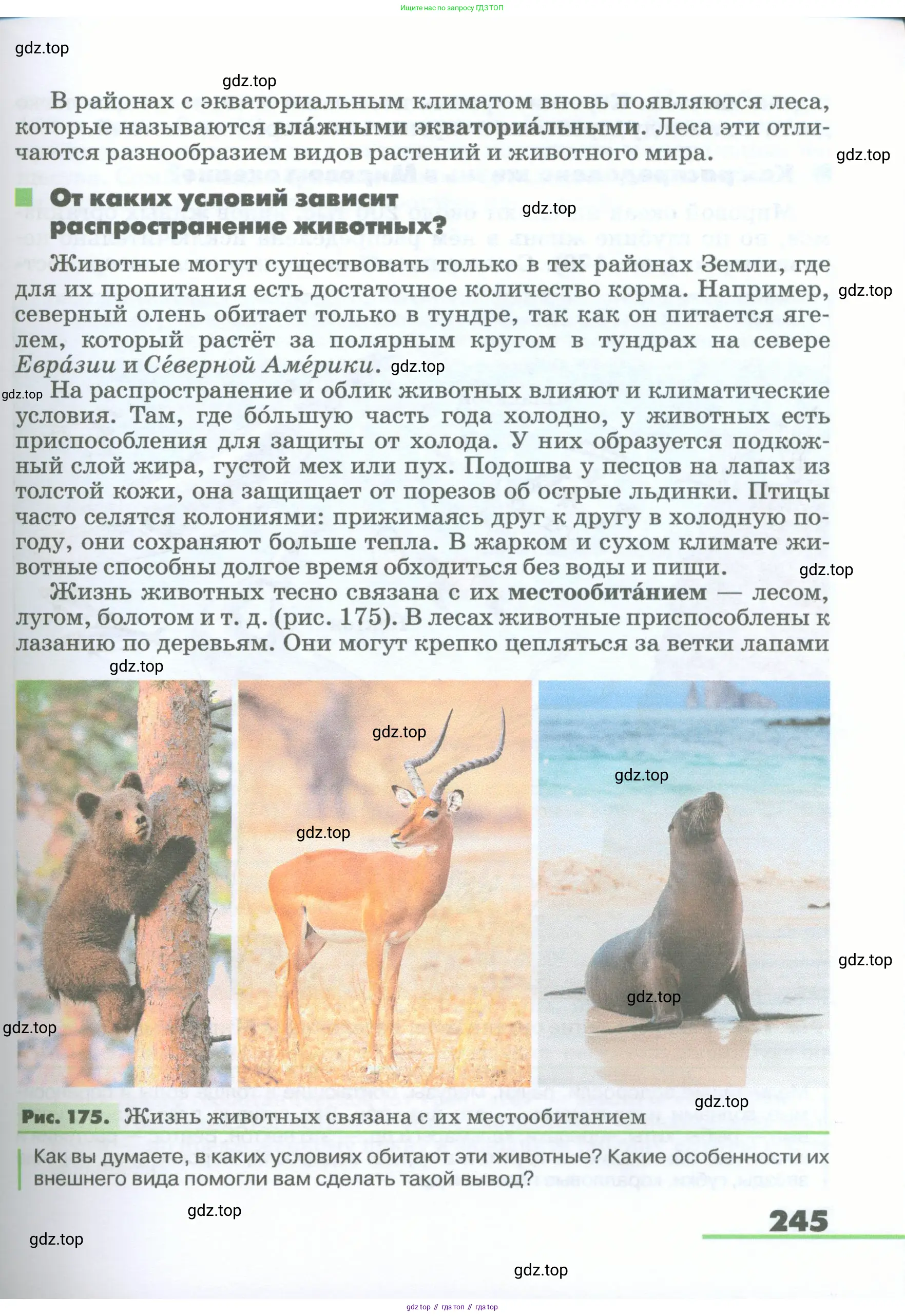 География, 5-6 класс Учебник, авторы: Климанова Оксана Александровна, Климанов Владимир Викторович, Ким Эльвира Васильевна, Сиротин Владимир Иванович, Румянцев Александр Владимирович, Панасенкова Ольга Алексеевна, издательство Просвещение, Москва, 2023, белого цвета, страница 245