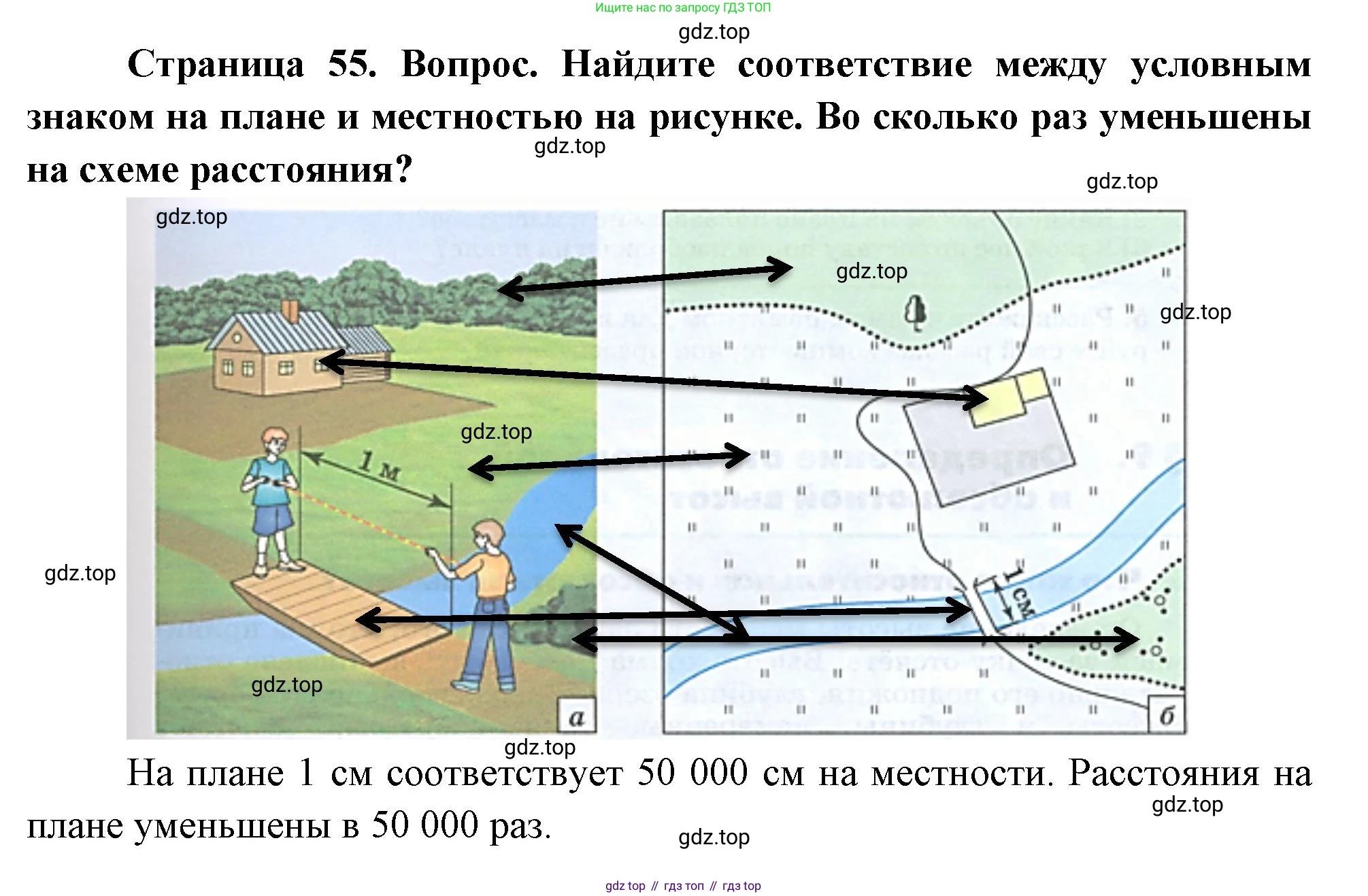 География, 5-6 класс Учебник, авторы: Климанова Оксана Александровна, Климанов Владимир Викторович, Ким Эльвира Васильевна, Сиротин Владимир Иванович, Румянцев Александр Владимирович, Панасенкова Ольга Алексеевна, издательство Просвещение, Москва, 2023, белого цвета, страница 55, Решение