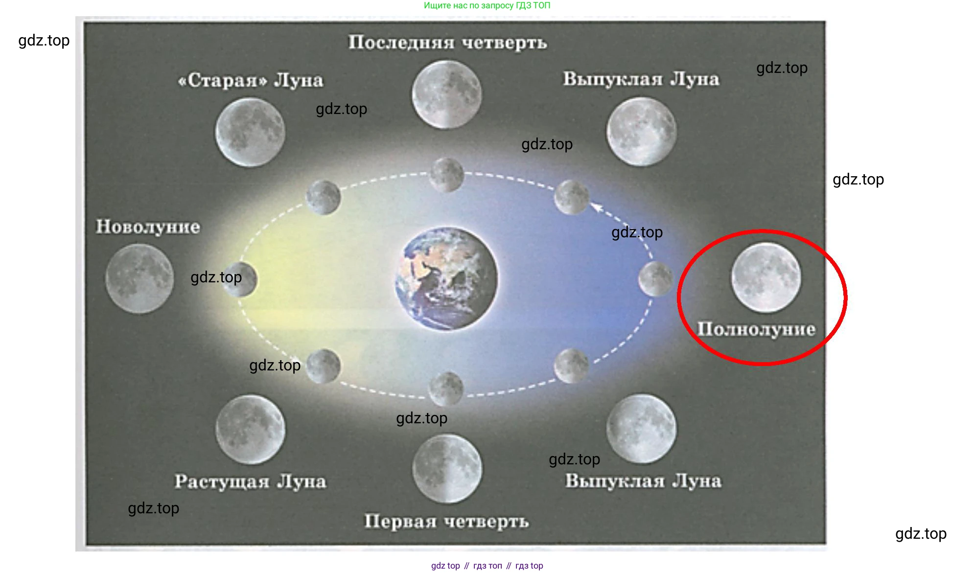 География, 5-6 класс Учебник, авторы: Климанова Оксана Александровна, Климанов Владимир Викторович, Ким Эльвира Васильевна, Сиротин Владимир Иванович, Румянцев Александр Владимирович, Панасенкова Ольга Алексеевна, издательство Просвещение, Москва, 2023, белого цвета, страница 106, номер 1, Решение (продолжение 2)
