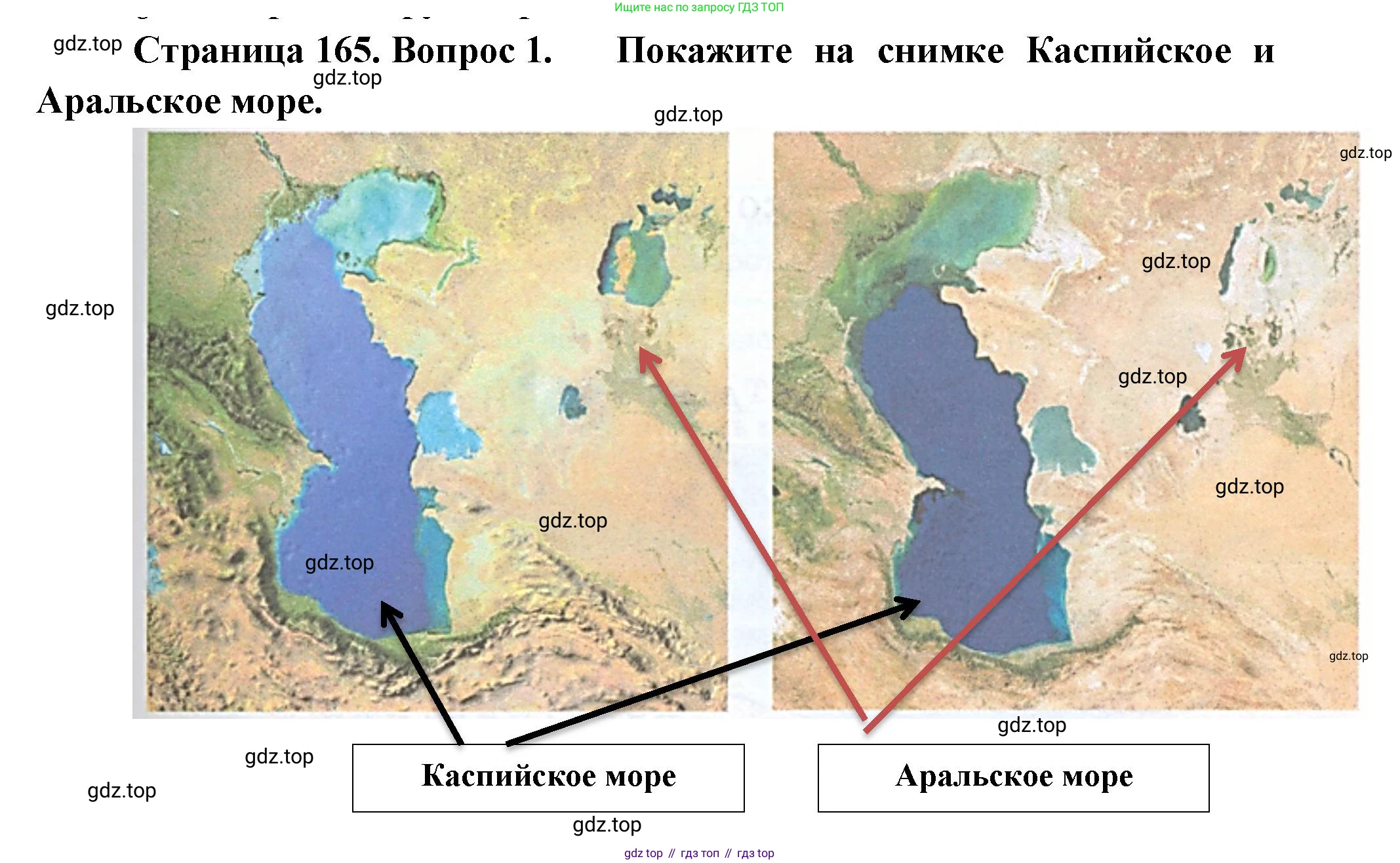 География, 5-6 класс Учебник, авторы: Климанова Оксана Александровна, Климанов Владимир Викторович, Ким Эльвира Васильевна, Сиротин Владимир Иванович, Румянцев Александр Владимирович, Панасенкова Ольга Алексеевна, издательство Просвещение, Москва, 2023, белого цвета, страница 165, Решение
