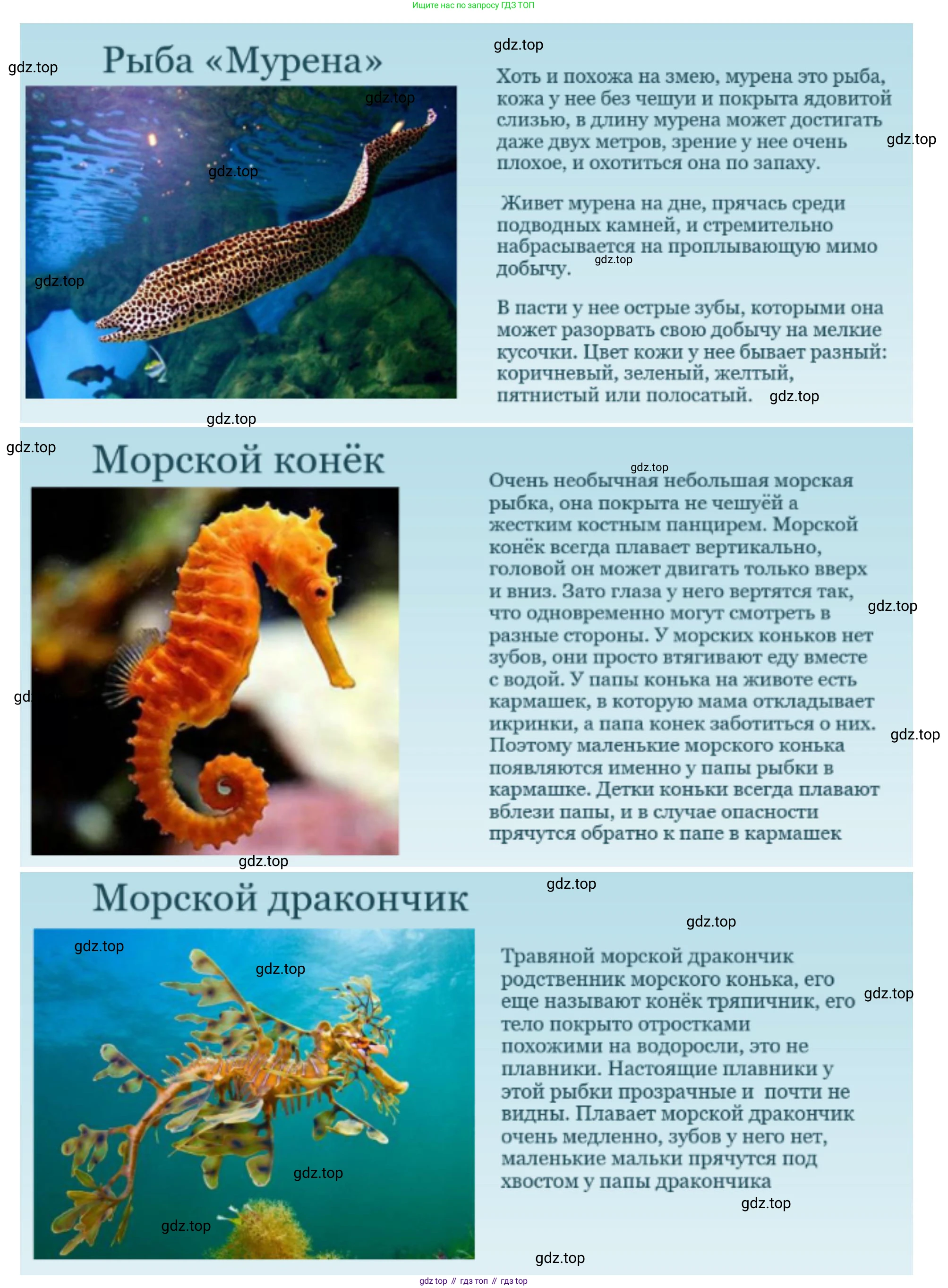География, 5-6 класс Учебник, авторы: Климанова Оксана Александровна, Климанов Владимир Викторович, Ким Эльвира Васильевна, Сиротин Владимир Иванович, Румянцев Александр Владимирович, Панасенкова Ольга Алексеевна, издательство Просвещение, Москва, 2023, белого цвета, страница 242, номер 5, Решение (продолжение 3)