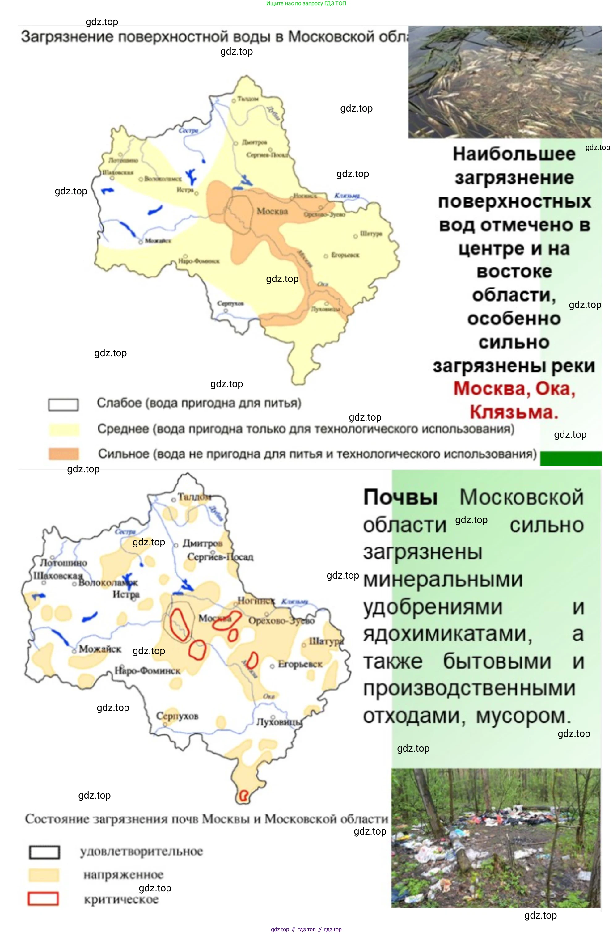 География, 5-6 класс Учебник, авторы: Климанова Оксана Александровна, Климанов Владимир Викторович, Ким Эльвира Васильевна, Сиротин Владимир Иванович, Румянцев Александр Владимирович, Панасенкова Ольга Алексеевна, издательство Просвещение, Москва, 2023, белого цвета, страница 252, номер 3, Решение (продолжение 3)