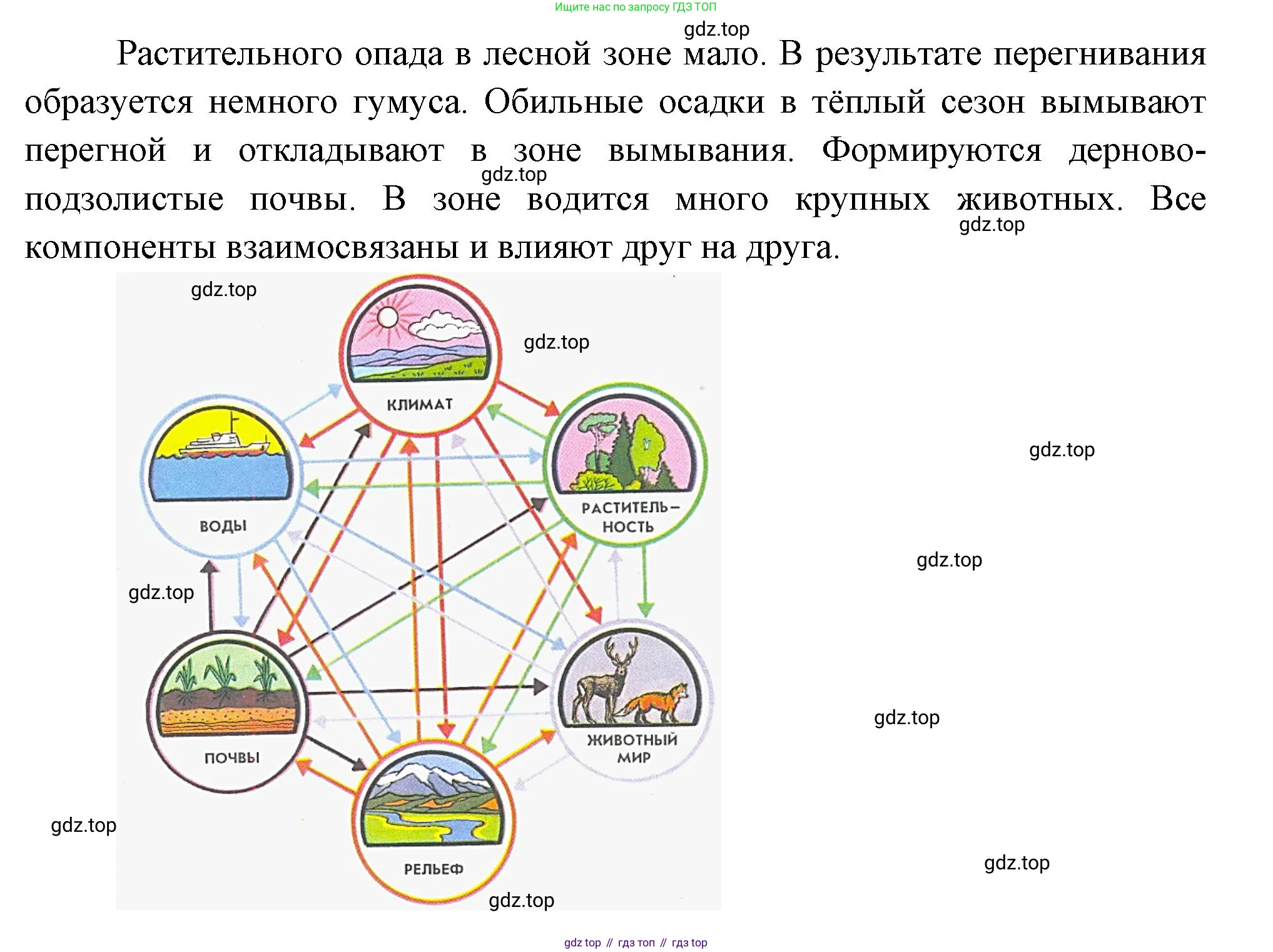 География, 5-6 класс Учебник, авторы: Климанова Оксана Александровна, Климанов Владимир Викторович, Ким Эльвира Васильевна, Сиротин Владимир Иванович, Румянцев Александр Владимирович, Панасенкова Ольга Алексеевна, издательство Просвещение, Москва, 2023, белого цвета, страница 256, Решение (продолжение 2)