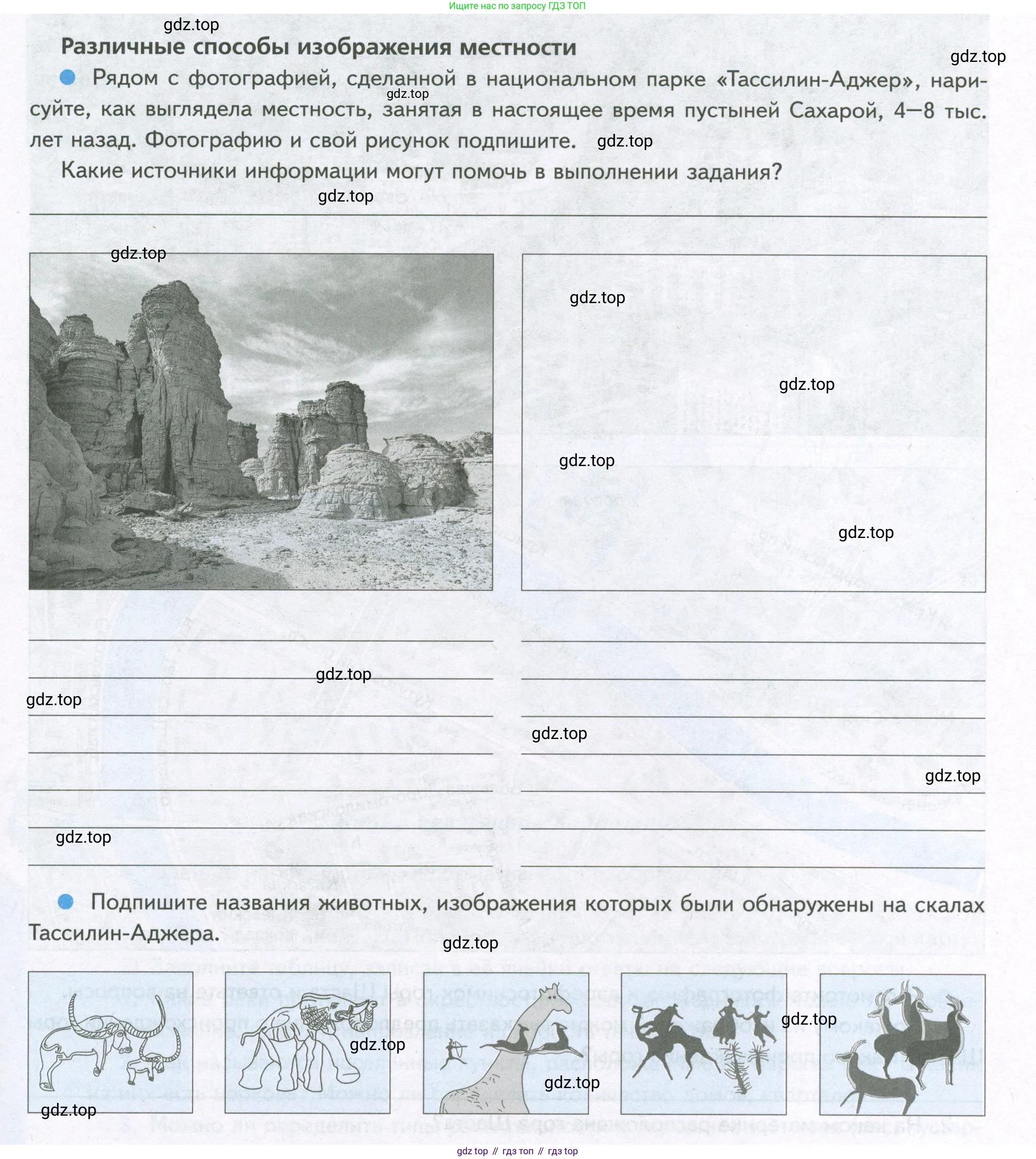 География, 5 класс Дневник географа-следопыта, автор: Летягин Александр Анатольевич, издательство Просвещение, Москва, 2023, салатового цвета, страница 17, Условие