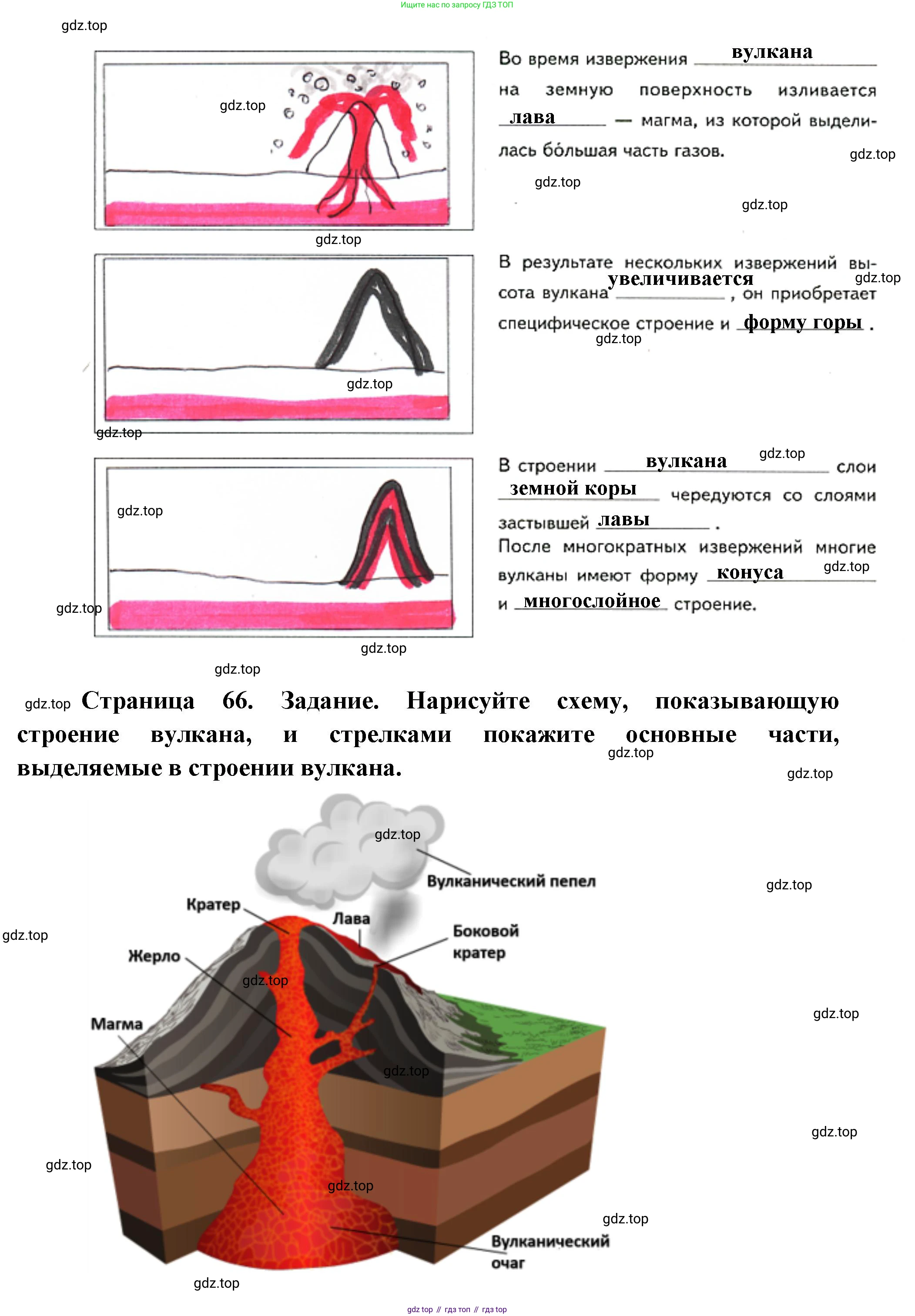 География, 5 класс Дневник географа-следопыта, автор: Летягин Александр Анатольевич, издательство Просвещение, Москва, 2023, салатового цвета, страница 65, номер 1, Решение (продолжение 2)