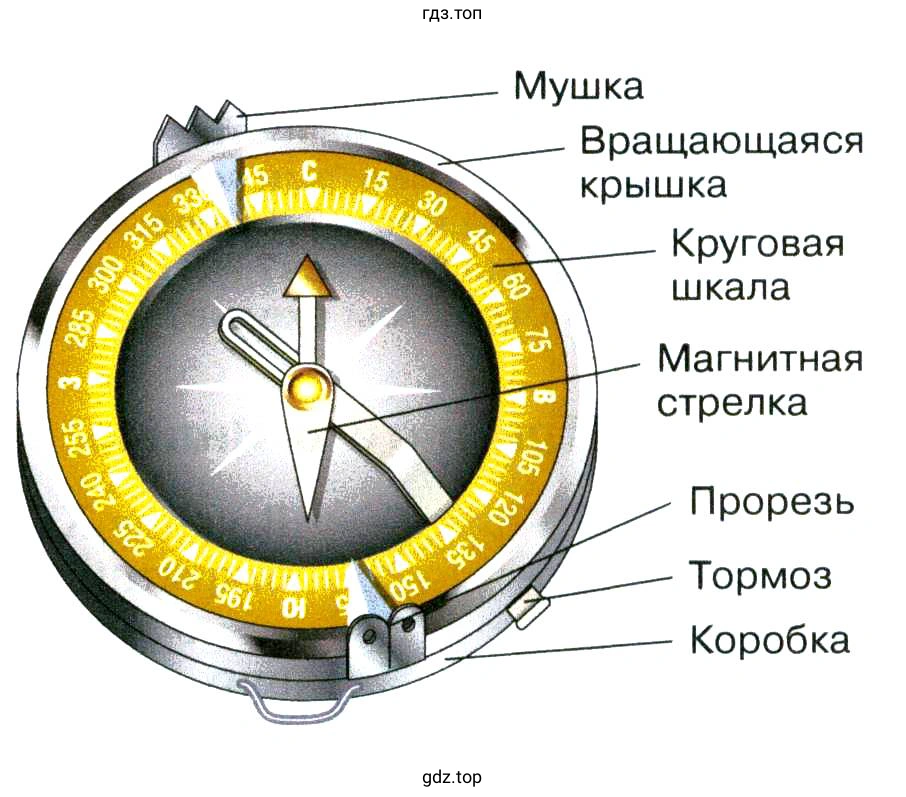 Компас