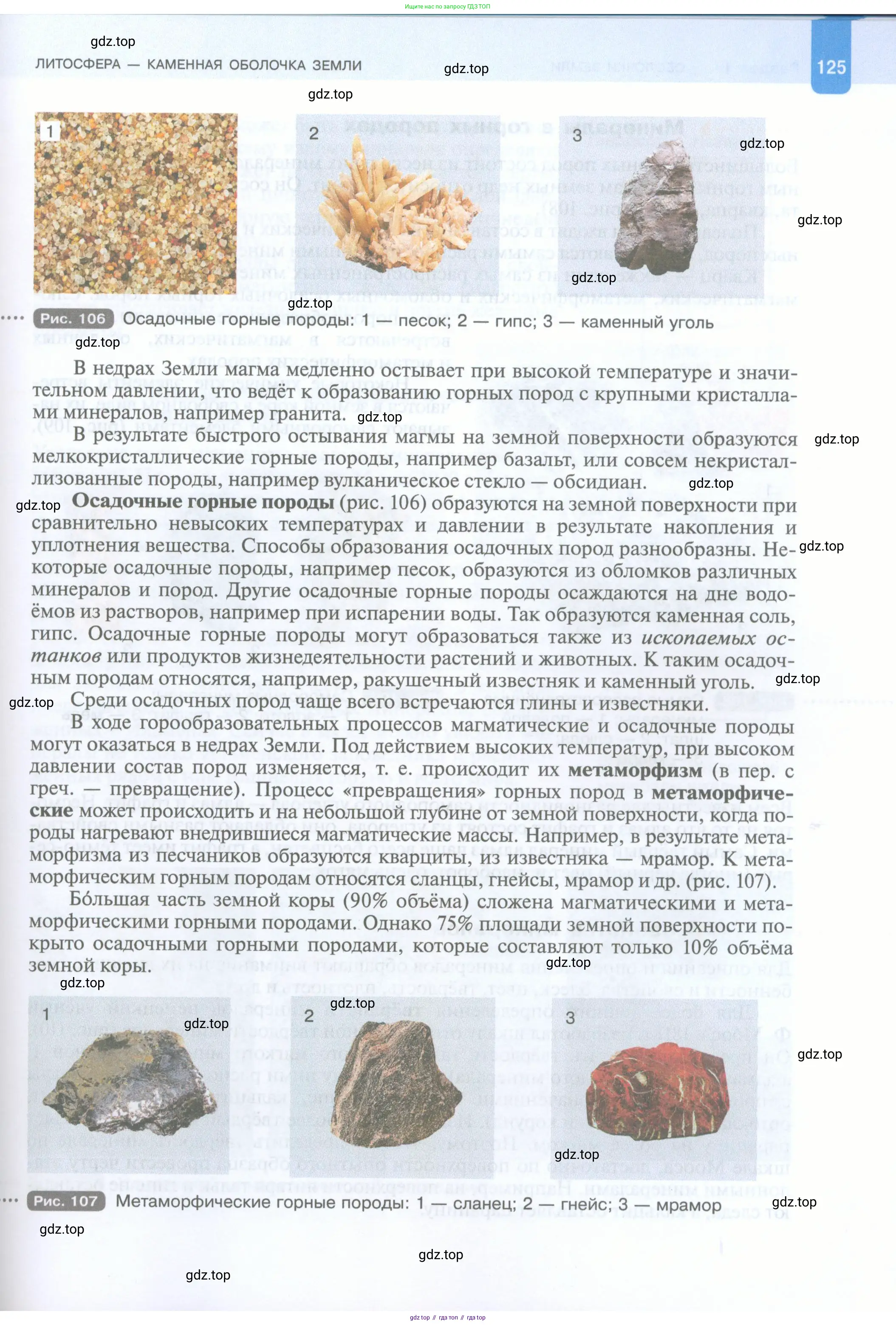 География, 5 класс Учебник, автор: Летягин Александр Анатольевич, издательство Просвещение, Москва, 2023, салатового цвета, страница 125