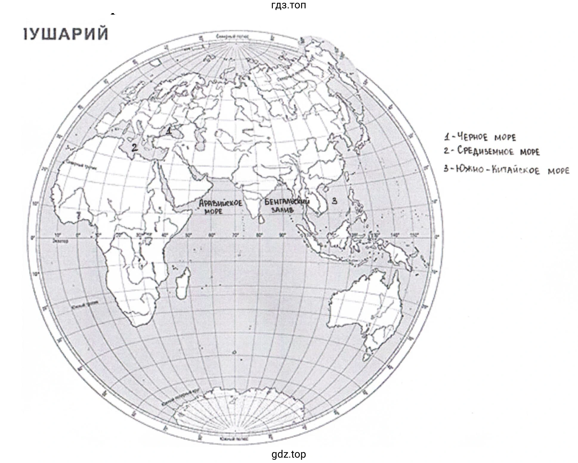 Рисунок. Карта полушарий: 1. Черное море, 2. Средиземное море, 3. Южно-Китайское море.