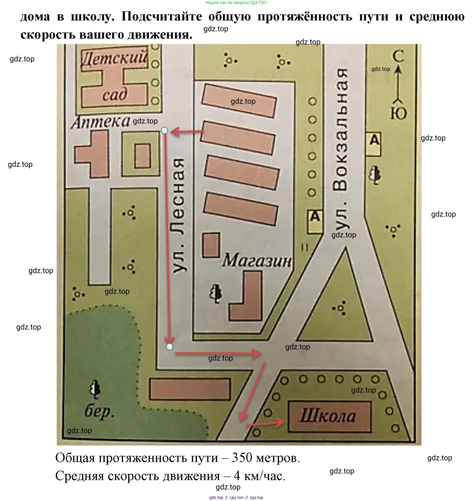 География, 5 класс Учебник, автор: Летягин Александр Анатольевич, издательство Просвещение, Москва, 2023, салатового цвета, страница 65, номер 8, Решение (продолжение 2)