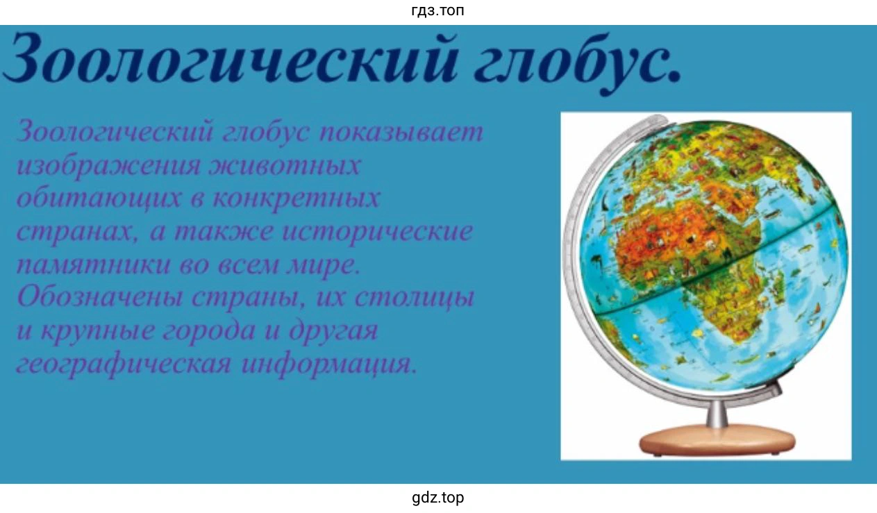 Слайд 5. Зоологический глобус