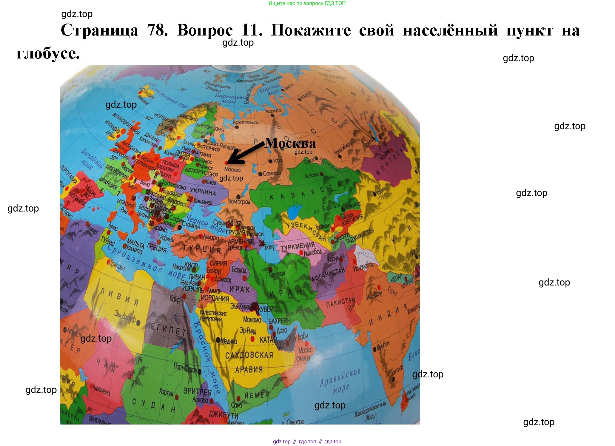 География, 5 класс Учебник, автор: Летягин Александр Анатольевич, издательство Просвещение, Москва, 2023, салатового цвета, страница 78, номер 11, Решение