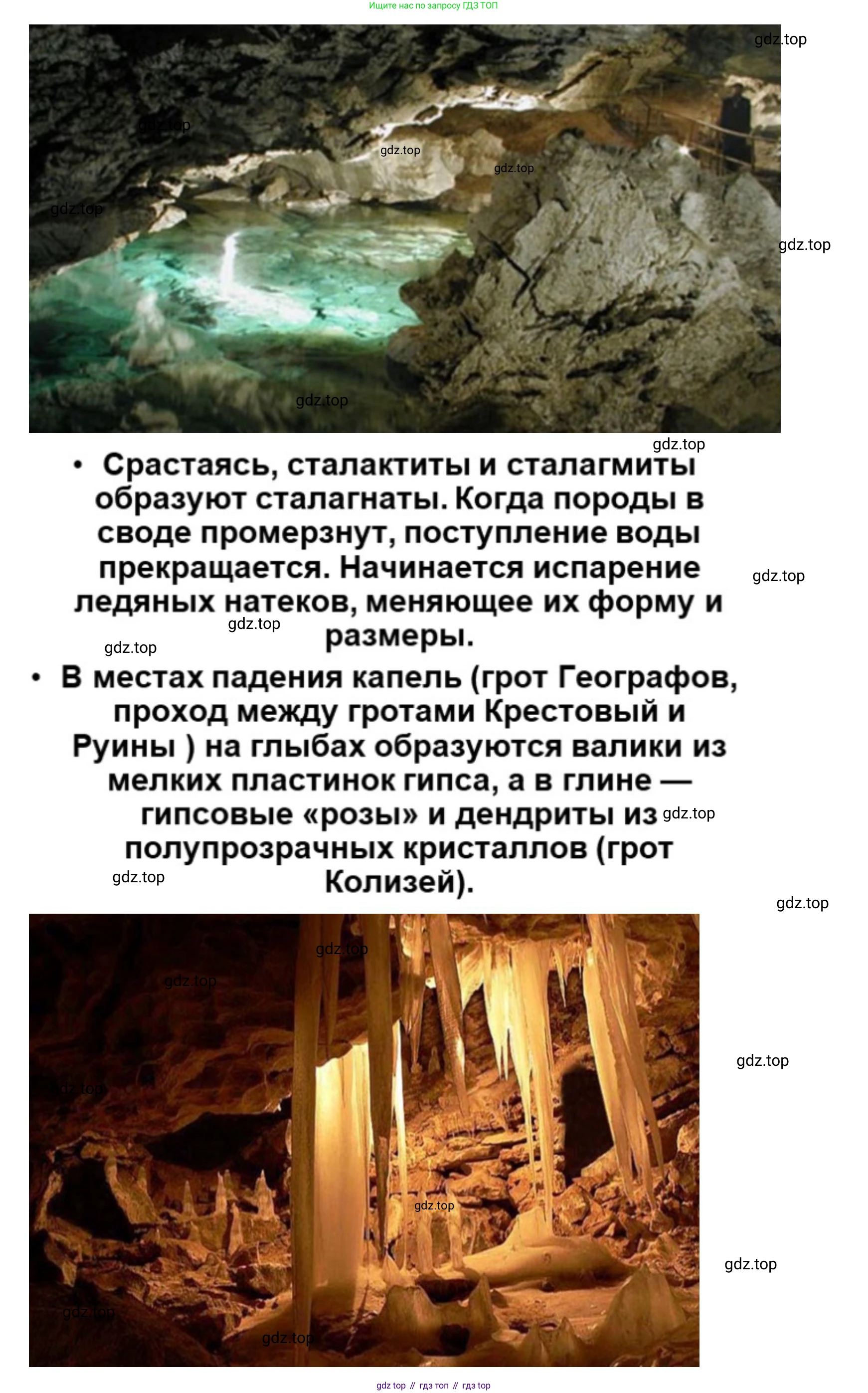 География, 5 класс Учебник, автор: Летягин Александр Анатольевич, издательство Просвещение, Москва, 2023, салатового цвета, страница 138, Решение (продолжение 5)