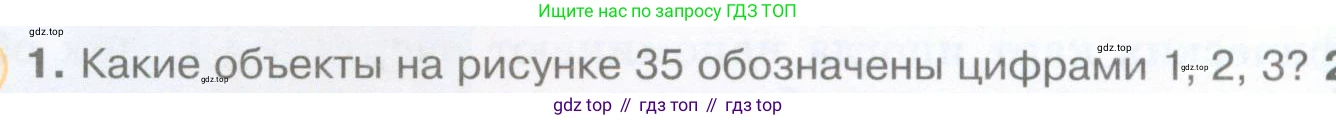 География, 5 класс Учебник, авторы: Максимов Николай Александрович, Герасимова Татьяна Павловна, Неклюкова Нина Петровна, Барабанов Вадим Владимирович, Сиротин Владимир Иванович, издательство Просвещение, Москва, 2023, коричневого цвета, страница 44, номер ?1, Условие
