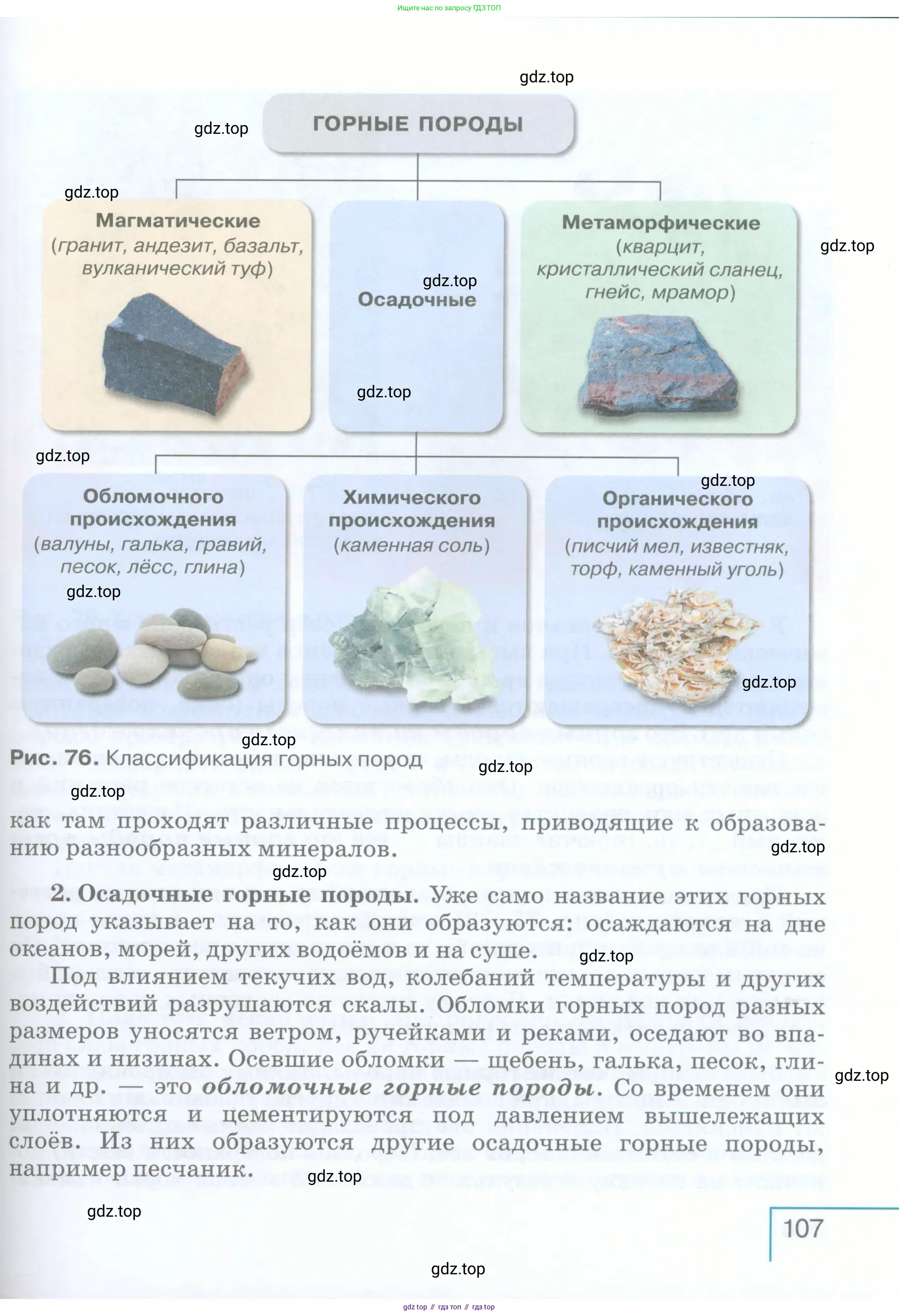 География, 5 класс Учебник, авторы: Максимов Николай Александрович, Герасимова Татьяна Павловна, Неклюкова Нина Петровна, Барабанов Вадим Владимирович, Сиротин Владимир Иванович, издательство Просвещение, Москва, 2023, коричневого цвета, страница 107