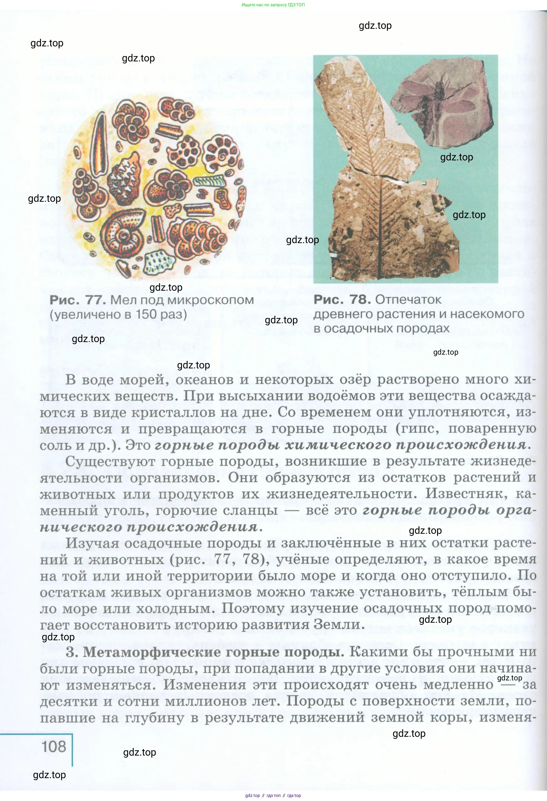 География, 5 класс Учебник, авторы: Максимов Николай Александрович, Герасимова Татьяна Павловна, Неклюкова Нина Петровна, Барабанов Вадим Владимирович, Сиротин Владимир Иванович, издательство Просвещение, Москва, 2023, коричневого цвета, страница 108