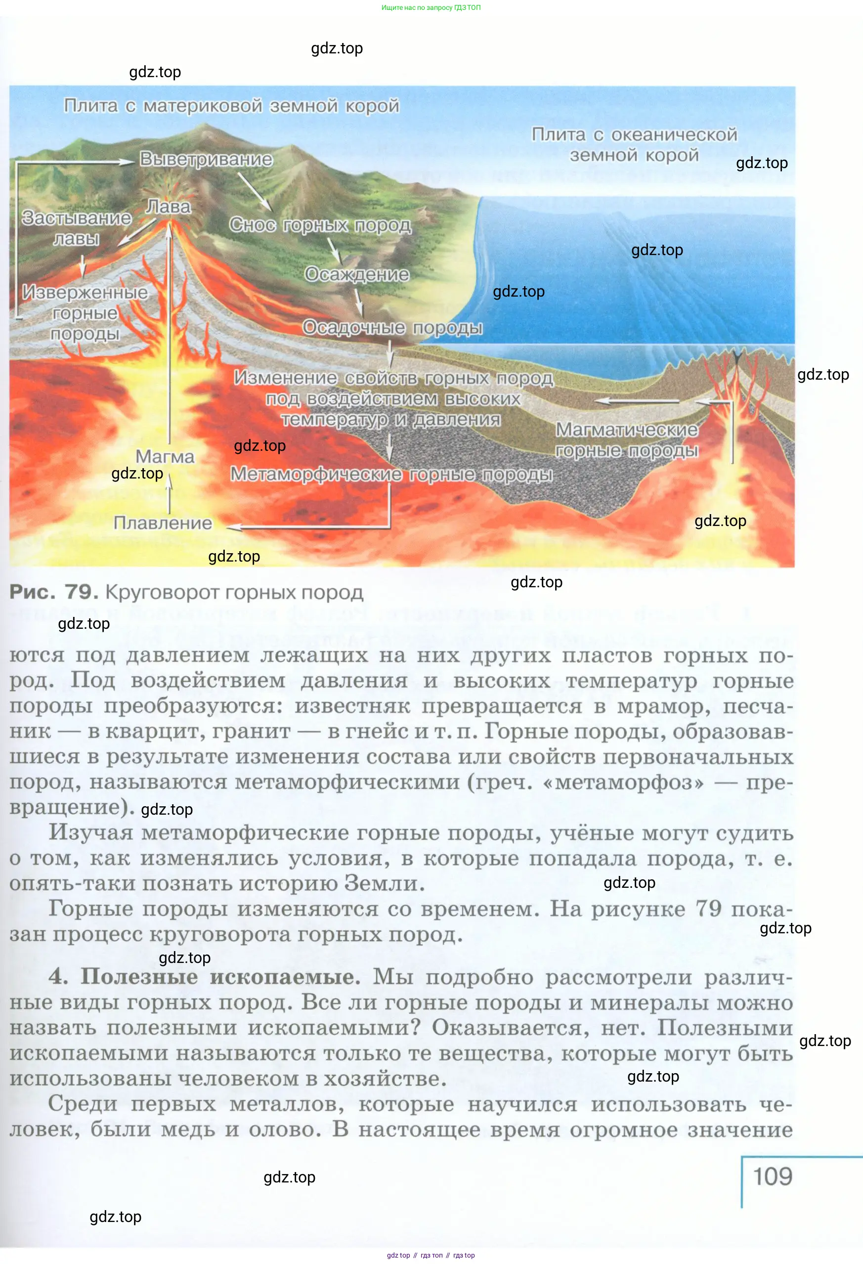 География, 5 класс Учебник, авторы: Максимов Николай Александрович, Герасимова Татьяна Павловна, Неклюкова Нина Петровна, Барабанов Вадим Владимирович, Сиротин Владимир Иванович, издательство Просвещение, Москва, 2023, коричневого цвета, страница 109