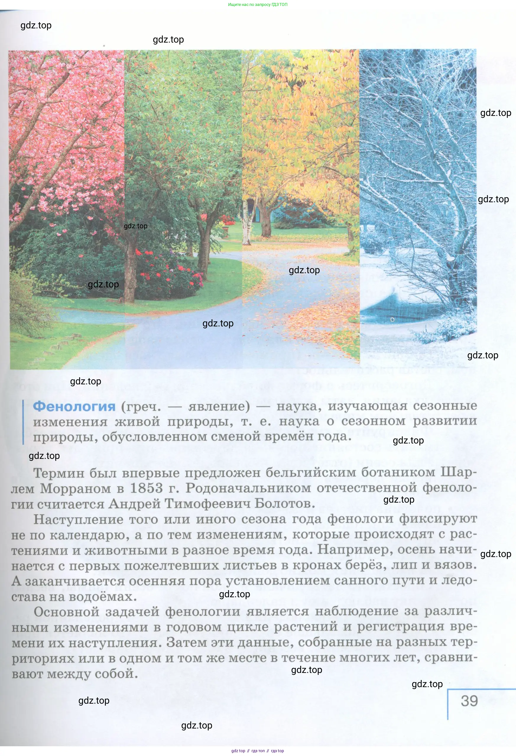 География, 5 класс Учебник, авторы: Максимов Николай Александрович, Герасимова Татьяна Павловна, Неклюкова Нина Петровна, Барабанов Вадим Владимирович, Сиротин Владимир Иванович, издательство Просвещение, Москва, 2023, коричневого цвета, страница 39