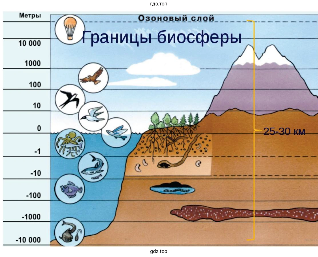 Схема границы биосферы