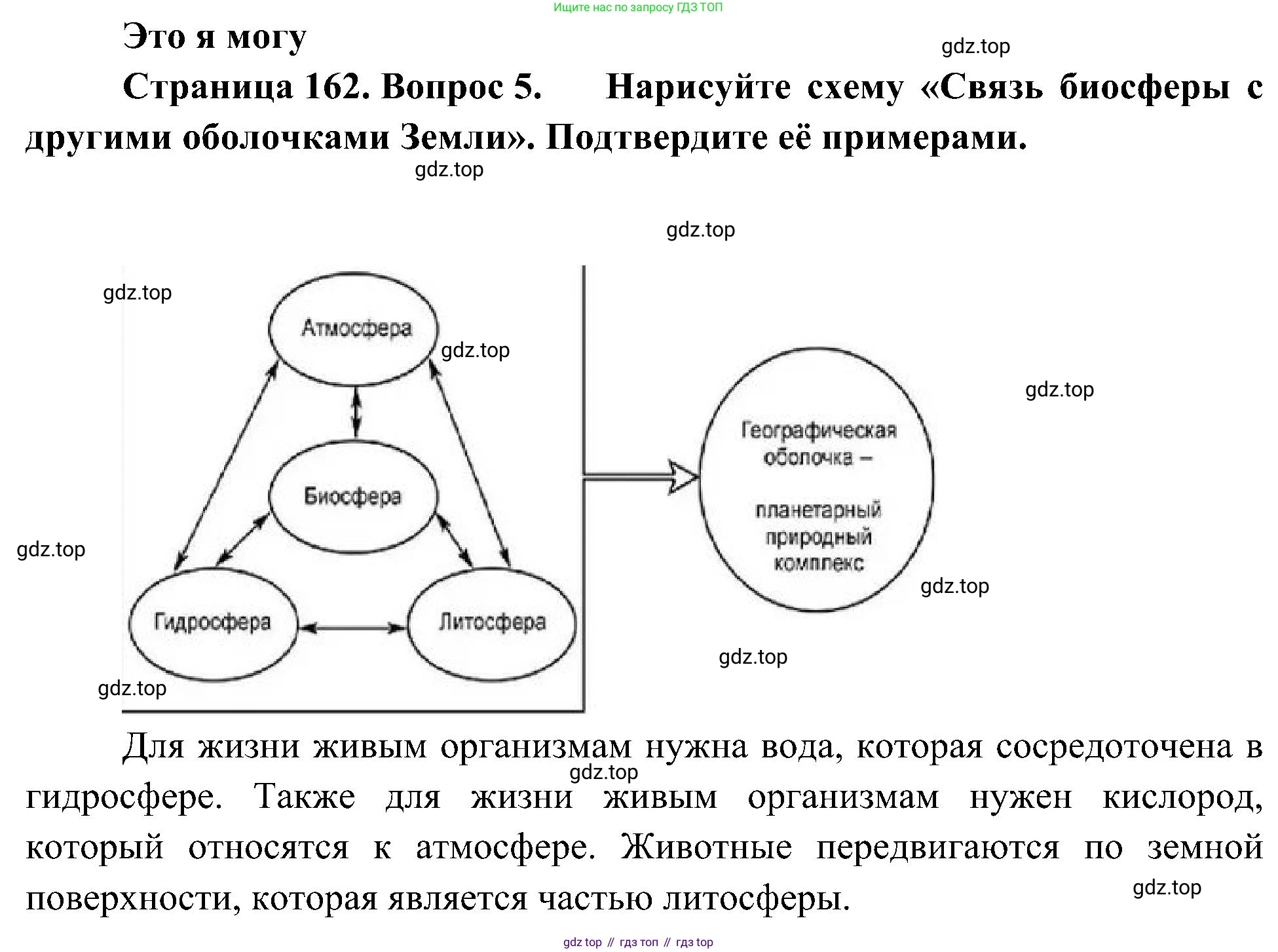 География, 5-6 класс Учебник, авторы: Алексеев Александр Иванович, Николина Вера Викторовна, Липкина Елена Карловна, Болысов Сергей Иванович, Кузнецова Галина Юрьевна, издательство Просвещение, Москва, 2023, жёлтого цвета, страница 162, номер 5, Решение