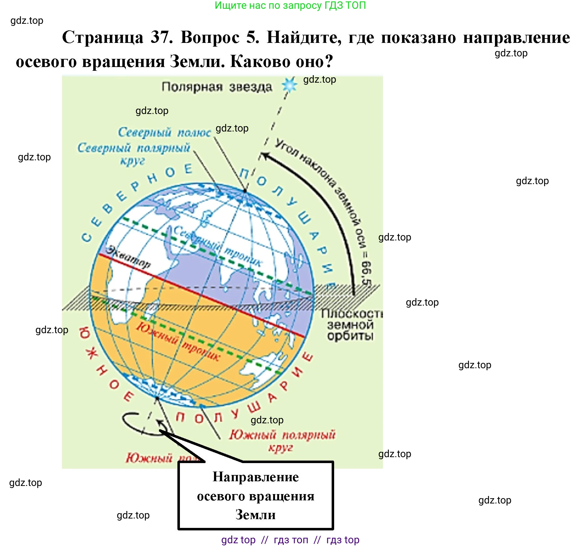 География, 5-6 класс Учебник, авторы: Алексеев Александр Иванович, Николина Вера Викторовна, Липкина Елена Карловна, Болысов Сергей Иванович, Кузнецова Галина Юрьевна, издательство Просвещение, Москва, 2023, жёлтого цвета, страница 38, номер 5, Решение2