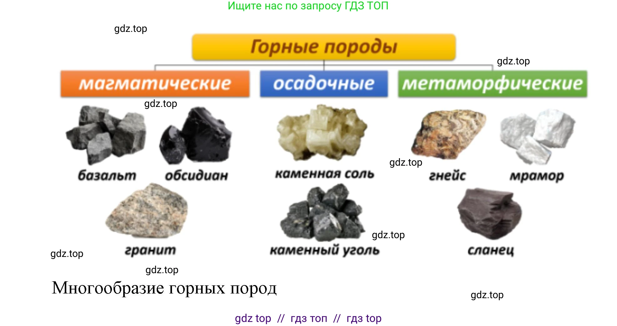 География, 5-6 класс Учебник, авторы: Алексеев Александр Иванович, Николина Вера Викторовна, Липкина Елена Карловна, Болысов Сергей Иванович, Кузнецова Галина Юрьевна, издательство Просвещение, Москва, 2023, жёлтого цвета, страница 77, номер 3, Решение2 (продолжение 2)