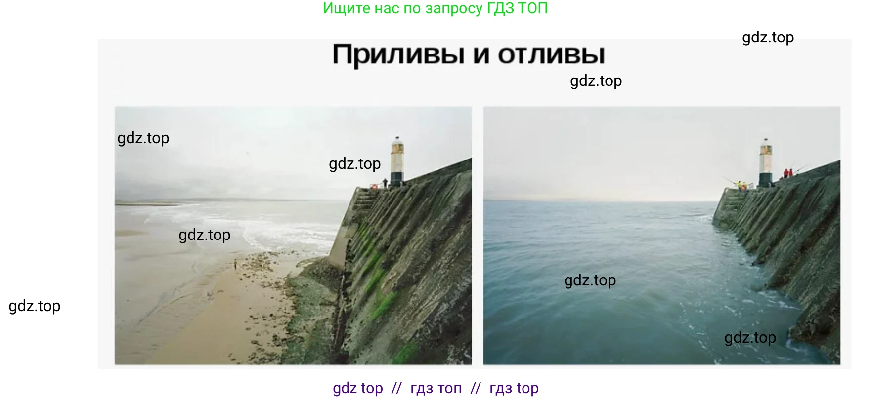 География, 5-6 класс Учебник, авторы: Алексеев Александр Иванович, Николина Вера Викторовна, Липкина Елена Карловна, Болысов Сергей Иванович, Кузнецова Галина Юрьевна, издательство Просвещение, Москва, 2023, жёлтого цвета, страница 110, номер 6, Решение2 (продолжение 3)