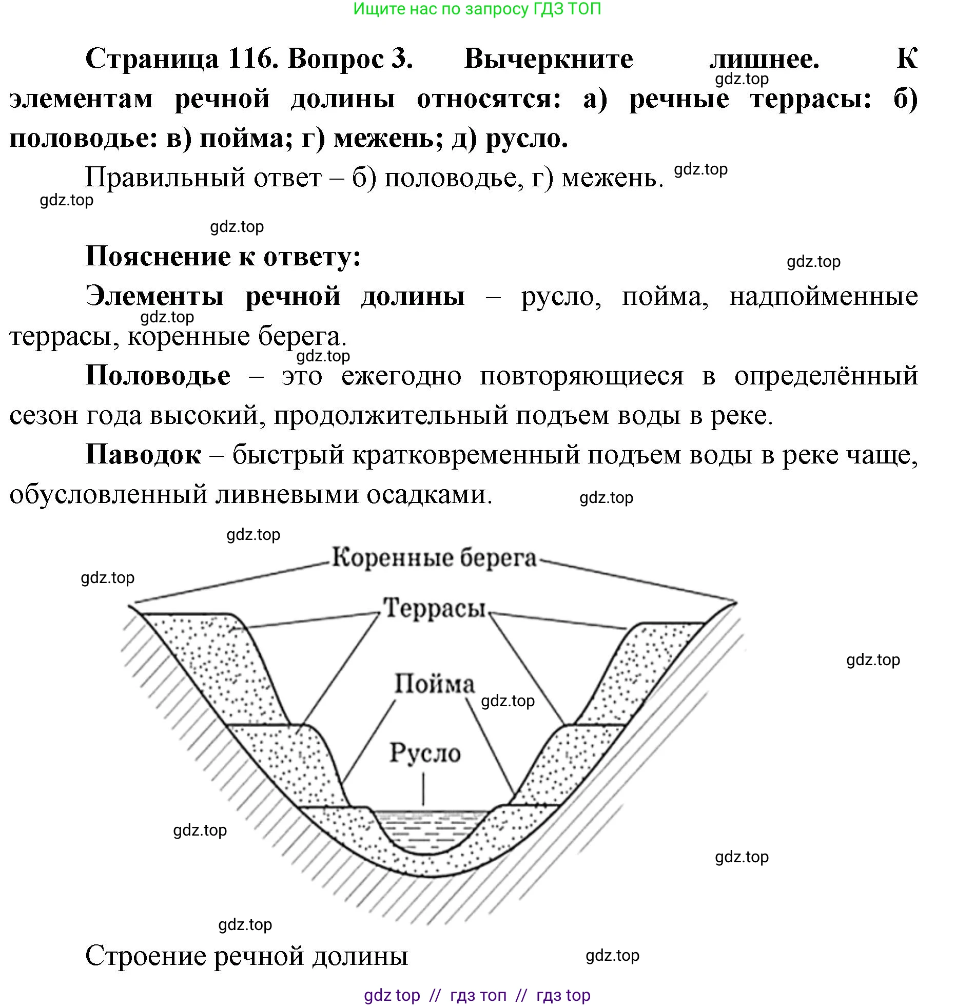 География, 5-6 класс Учебник, авторы: Алексеев Александр Иванович, Николина Вера Викторовна, Липкина Елена Карловна, Болысов Сергей Иванович, Кузнецова Галина Юрьевна, издательство Просвещение, Москва, 2023, жёлтого цвета, страница 116, номер 3, Решение2