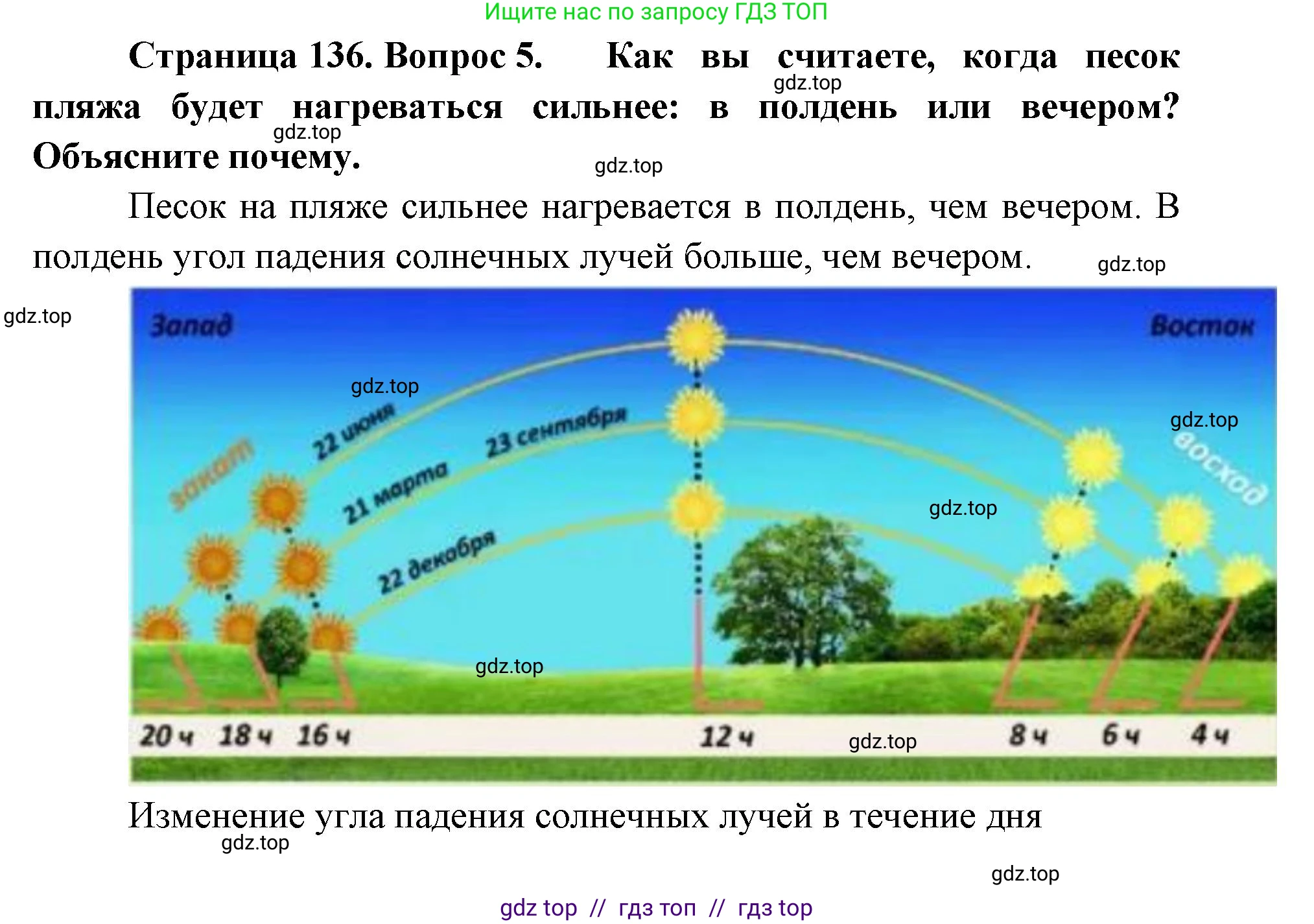География, 5-6 класс Учебник, авторы: Алексеев Александр Иванович, Николина Вера Викторовна, Липкина Елена Карловна, Болысов Сергей Иванович, Кузнецова Галина Юрьевна, издательство Просвещение, Москва, 2023, жёлтого цвета, страница 136, номер 5, Решение2