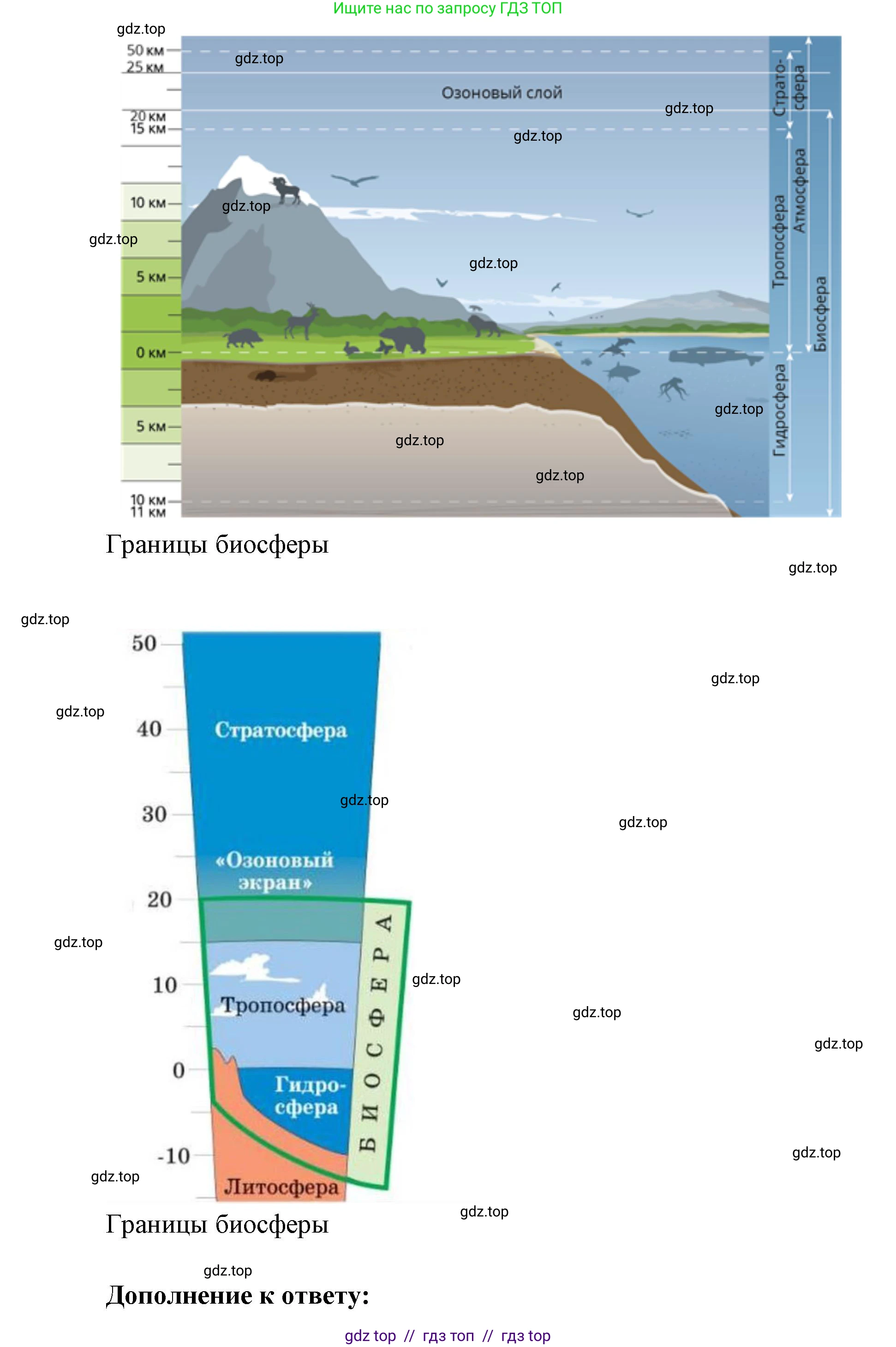 География, 5-6 класс Учебник, авторы: Алексеев Александр Иванович, Николина Вера Викторовна, Липкина Елена Карловна, Болысов Сергей Иванович, Кузнецова Галина Юрьевна, издательство Просвещение, Москва, 2023, жёлтого цвета, страница 159, номер 4, Решение2 (продолжение 2)
