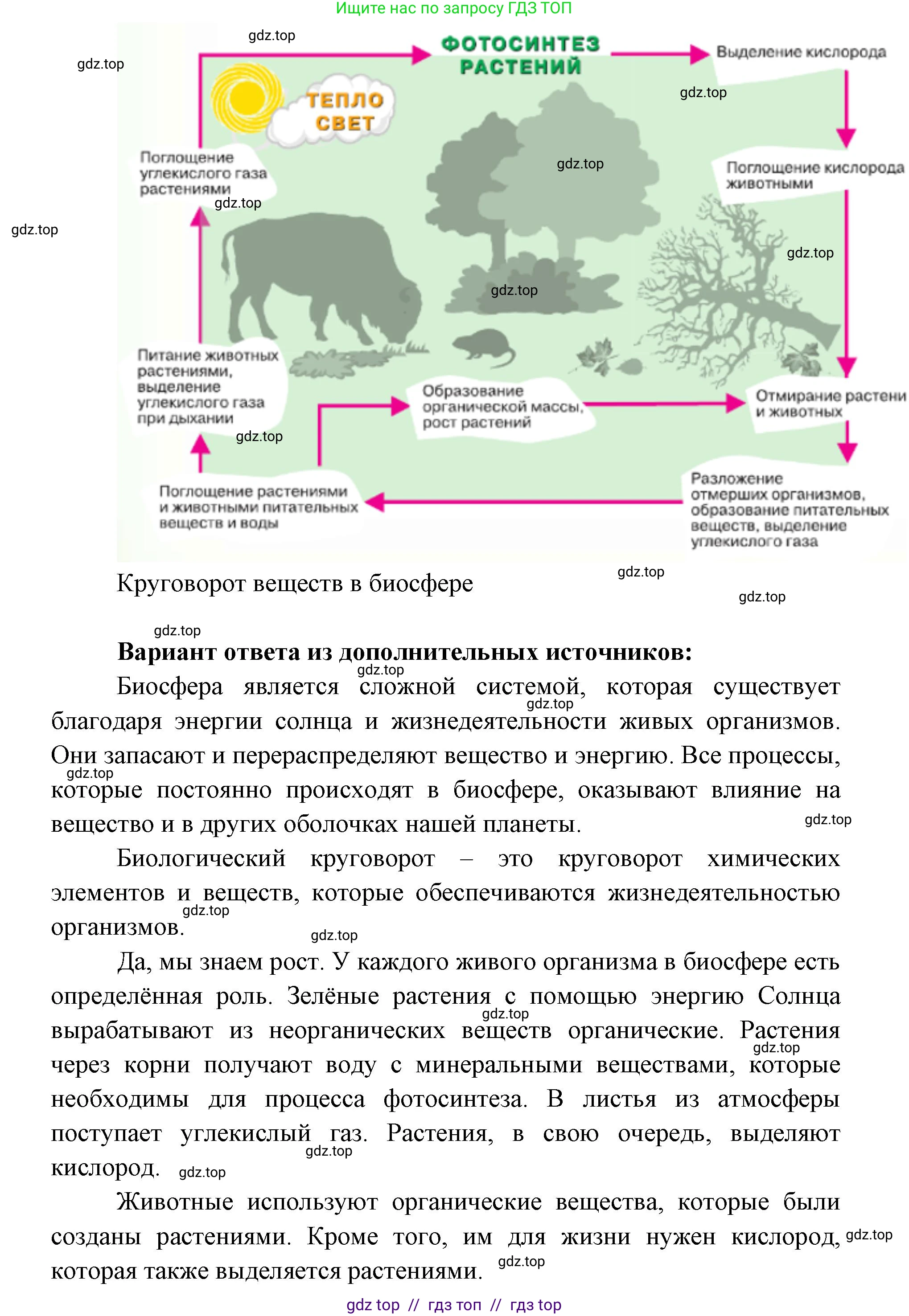 География, 5-6 класс Учебник, авторы: Алексеев Александр Иванович, Николина Вера Викторовна, Липкина Елена Карловна, Болысов Сергей Иванович, Кузнецова Галина Юрьевна, издательство Просвещение, Москва, 2023, жёлтого цвета, страница 162, номер 1, Решение2 (продолжение 2)
