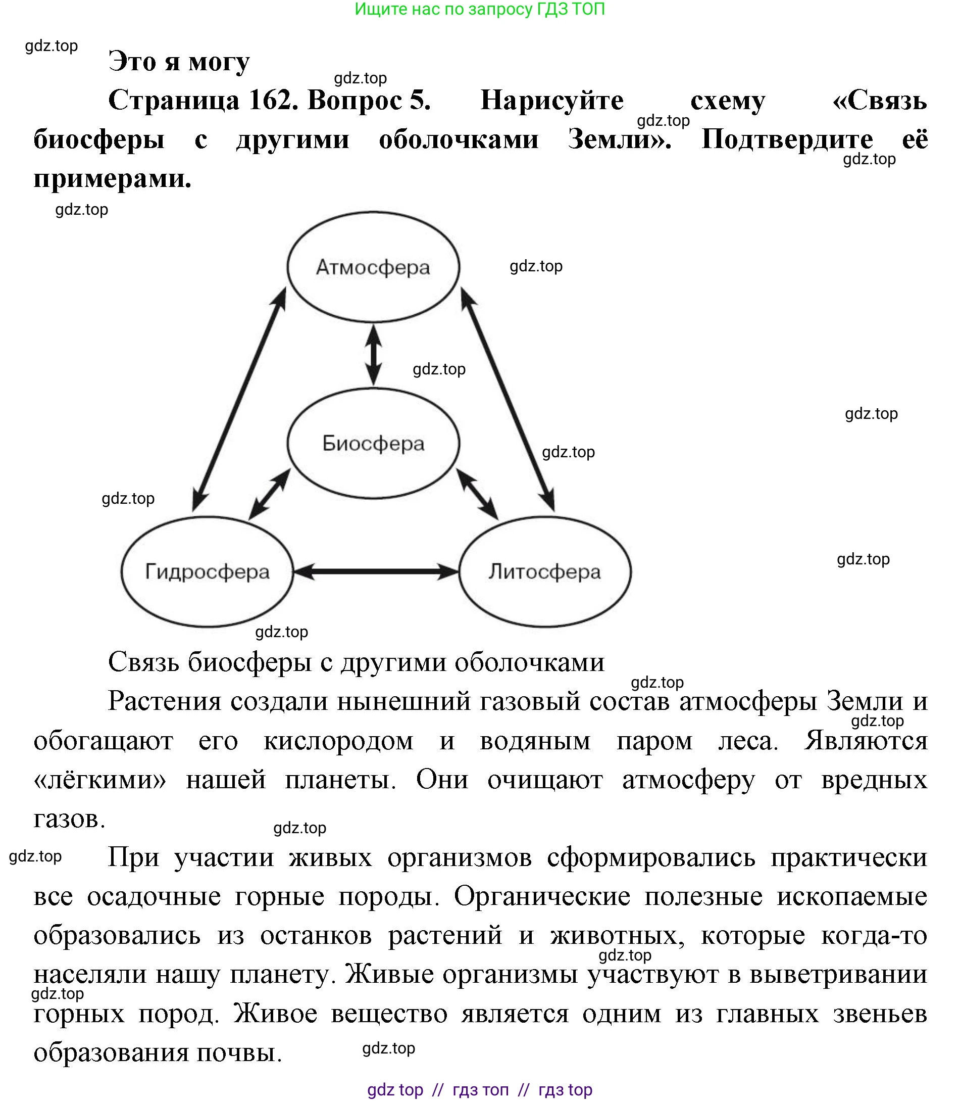 География, 5-6 класс Учебник, авторы: Алексеев Александр Иванович, Николина Вера Викторовна, Липкина Елена Карловна, Болысов Сергей Иванович, Кузнецова Галина Юрьевна, издательство Просвещение, Москва, 2023, жёлтого цвета, страница 162, номер 5, Решение2
