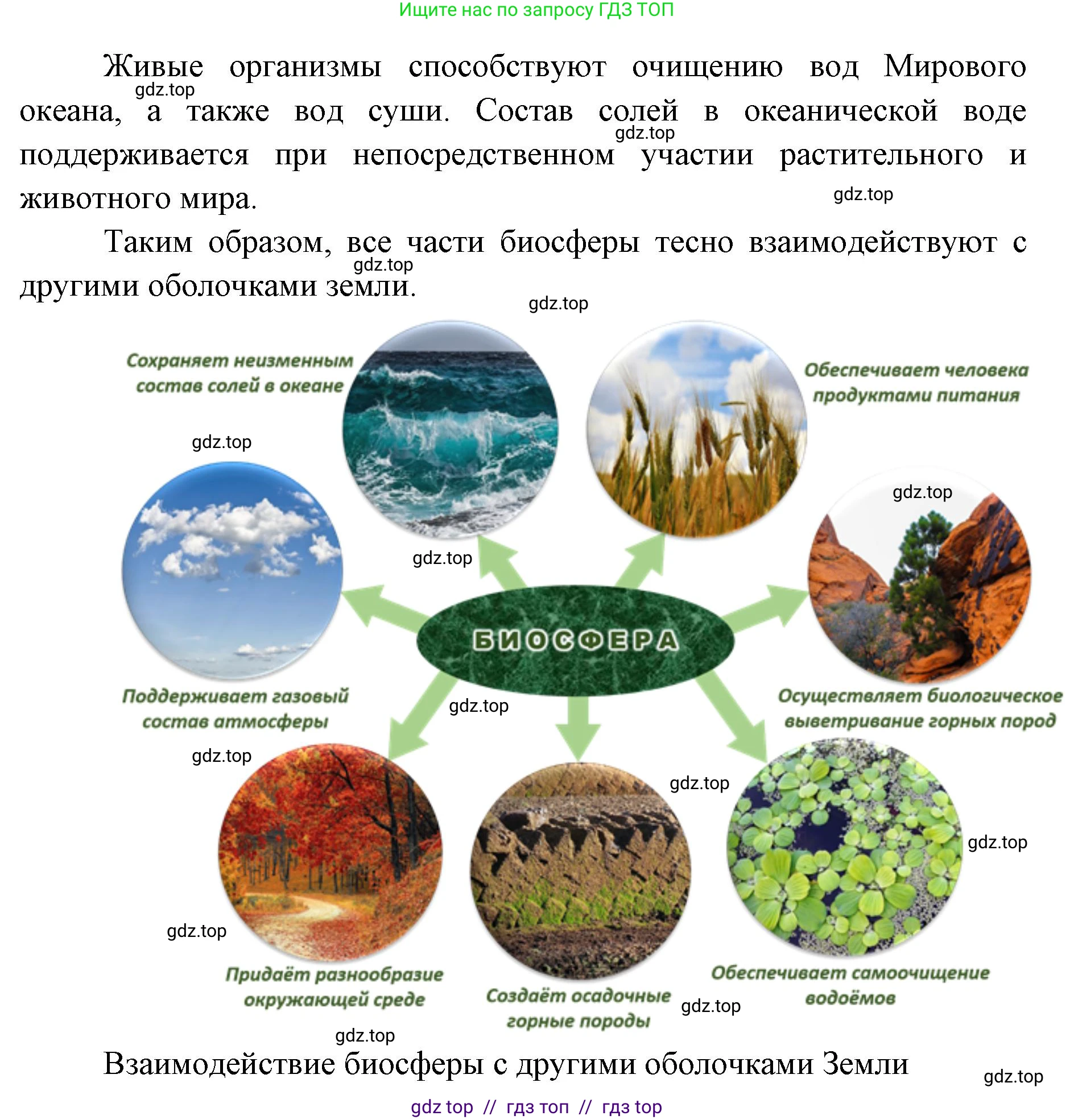 География, 5-6 класс Учебник, авторы: Алексеев Александр Иванович, Николина Вера Викторовна, Липкина Елена Карловна, Болысов Сергей Иванович, Кузнецова Галина Юрьевна, издательство Просвещение, Москва, 2023, жёлтого цвета, страница 162, номер 5, Решение2 (продолжение 2)